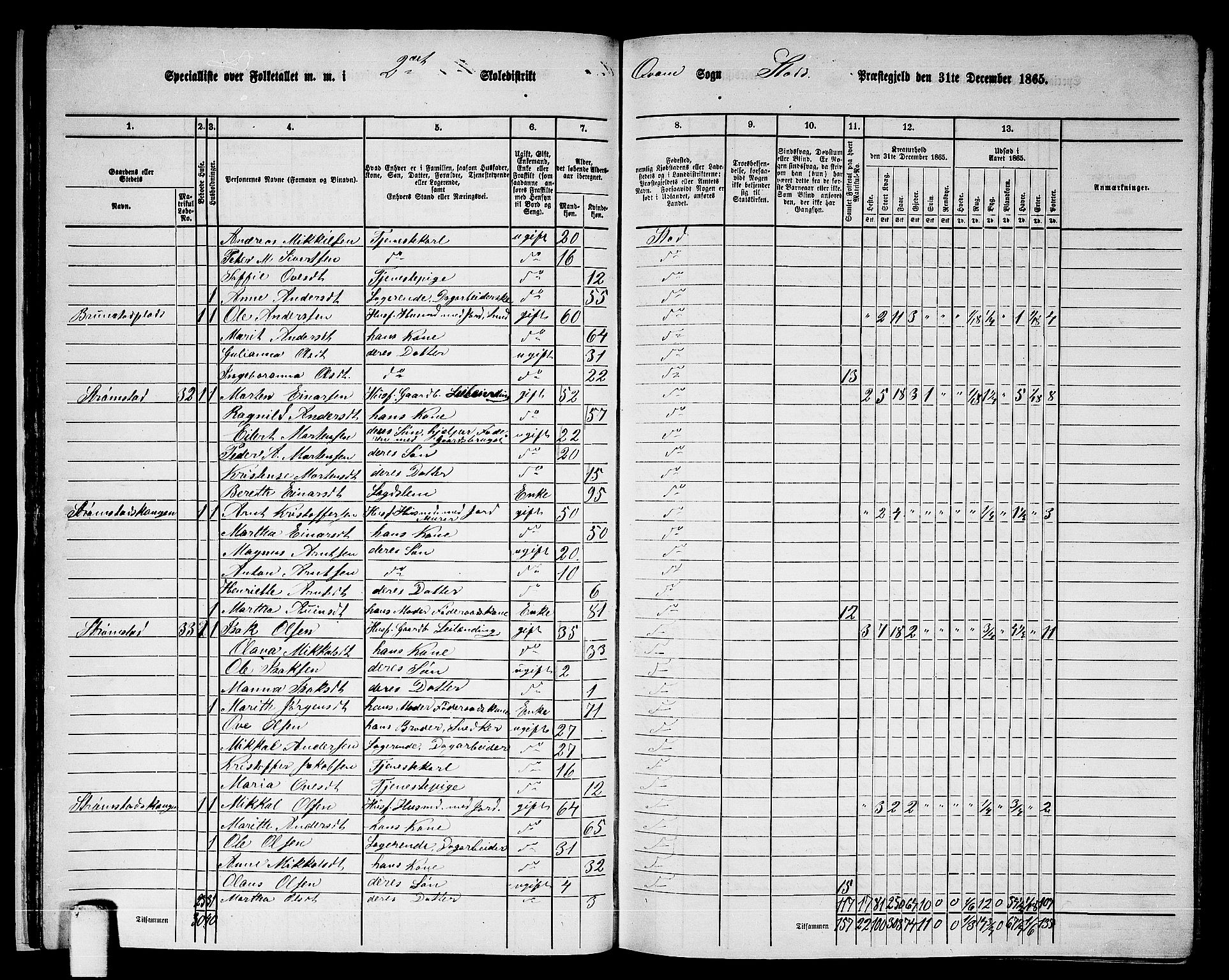 RA, 1865 census for Stod, 1865, p. 30