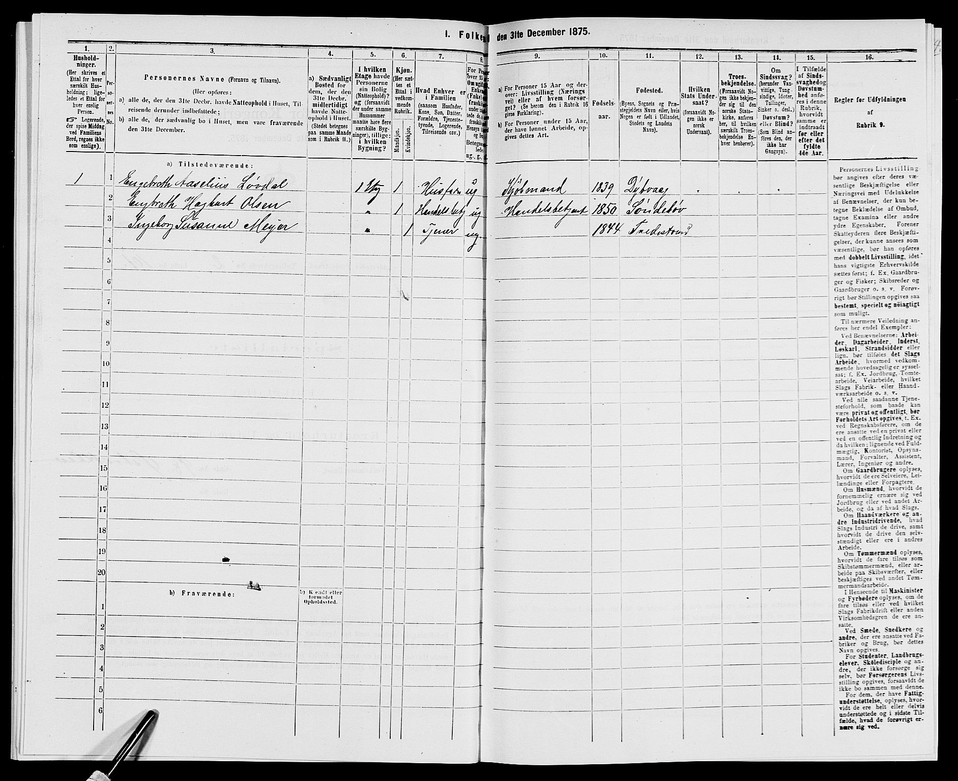 SAK, 1875 census for 0902B Holt/Tvedestrand, 1875, p. 219