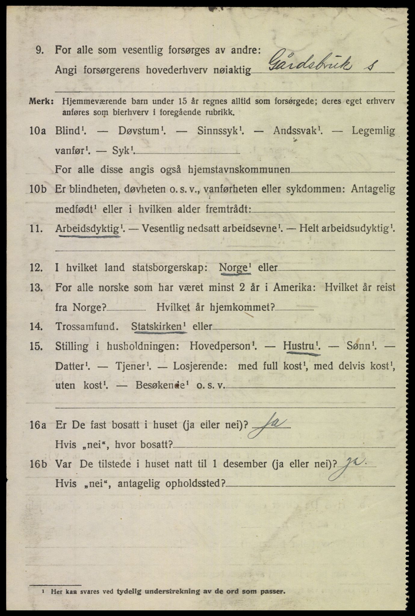 SAH, 1920 census for Øystre Slidre, 1920, p. 1006