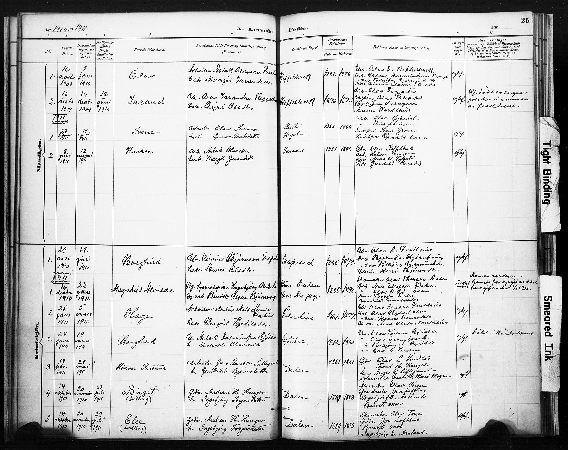 Lårdal kirkebøker, SAKO/A-284/F/Fb/L0002: Parish register (official) no. II 2, 1887-1918, p. 25