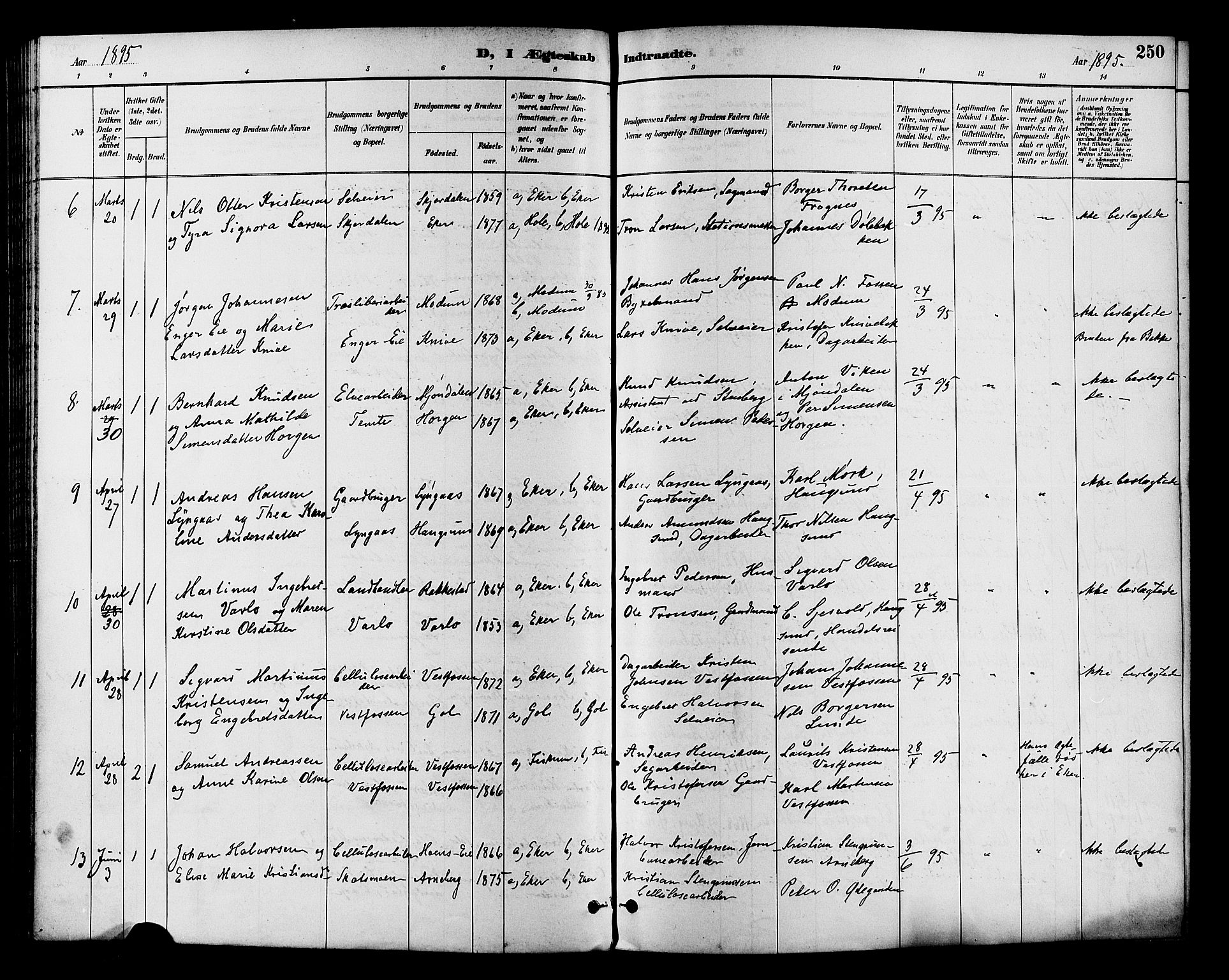 Eiker kirkebøker, SAKO/A-4/F/Fb/L0002: Parish register (official) no. II 2, 1889-1896, p. 250