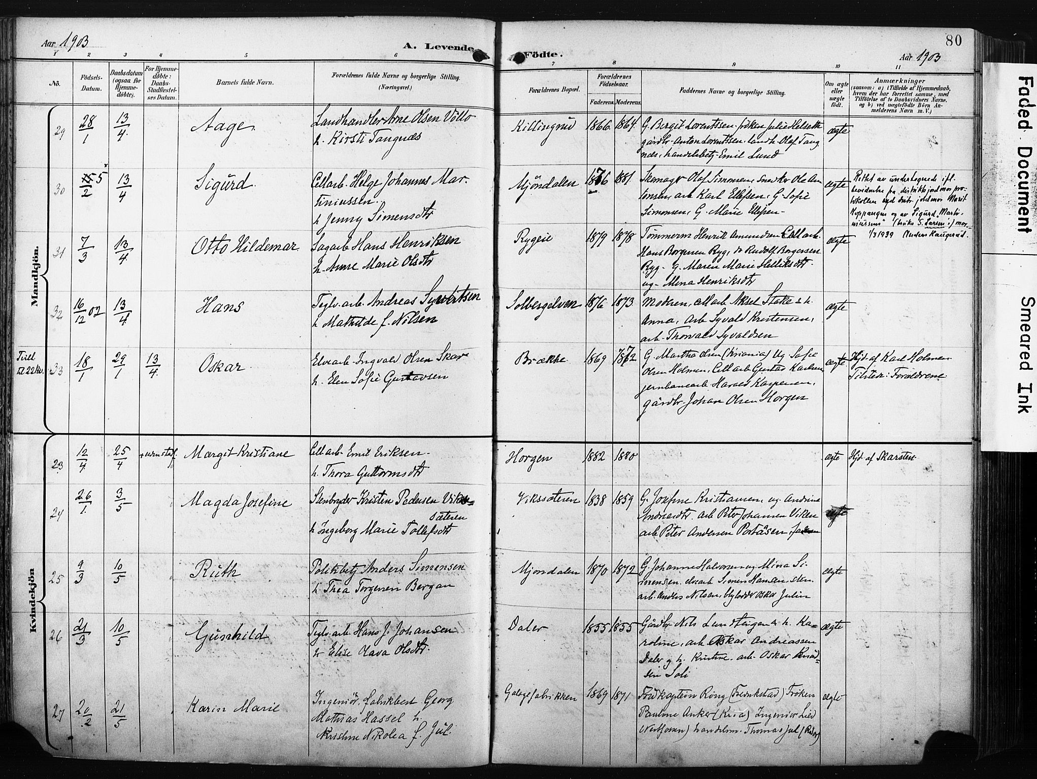 Nedre Eiker kirkebøker, AV/SAKO-A-612/F/Fa/L0005: Parish register (official) no. 5, 1898-1905, p. 80