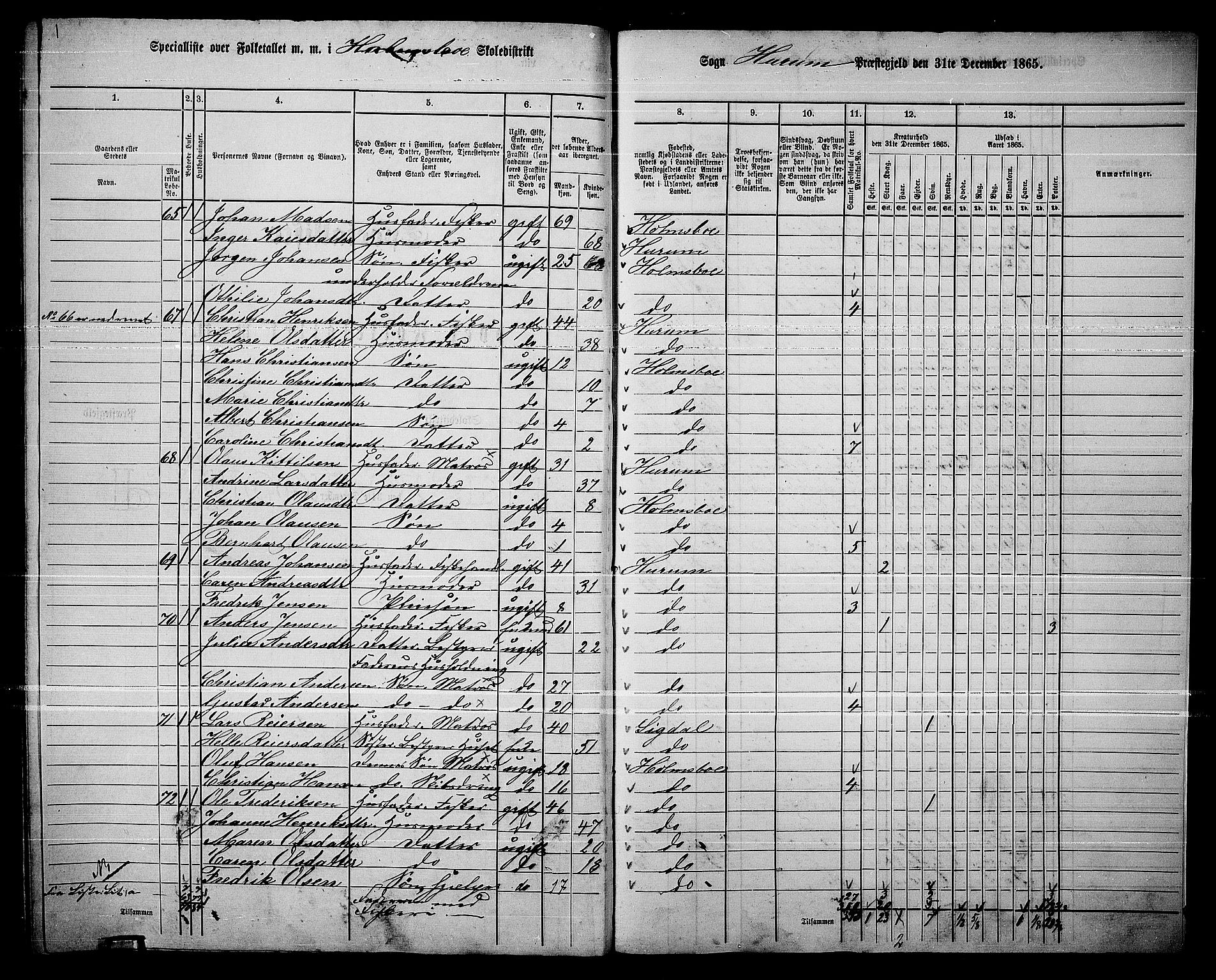 RA, 1865 census for Hurum, 1865, p. 120