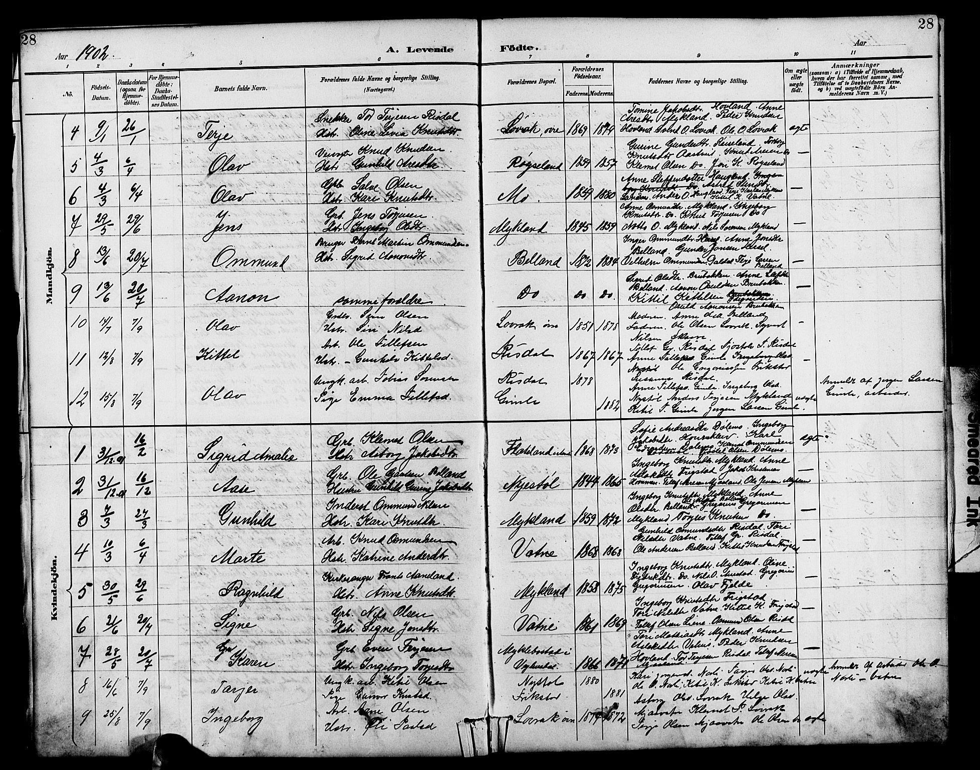 Herefoss sokneprestkontor, AV/SAK-1111-0019/F/Fb/Fbc/L0003: Parish register (copy) no. B 3, 1887-1915, p. 28