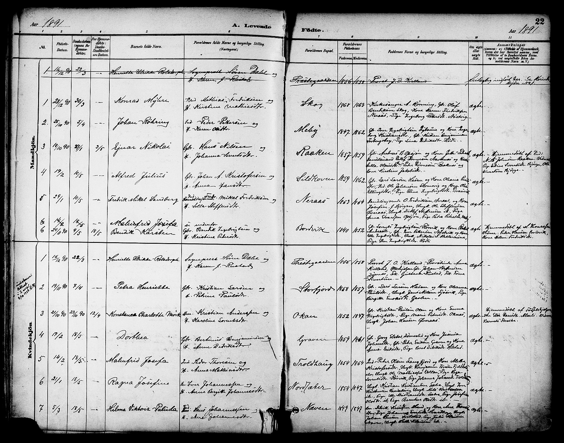 Ministerialprotokoller, klokkerbøker og fødselsregistre - Nordland, AV/SAT-A-1459/814/L0226: Parish register (official) no. 814A07, 1886-1898, p. 22