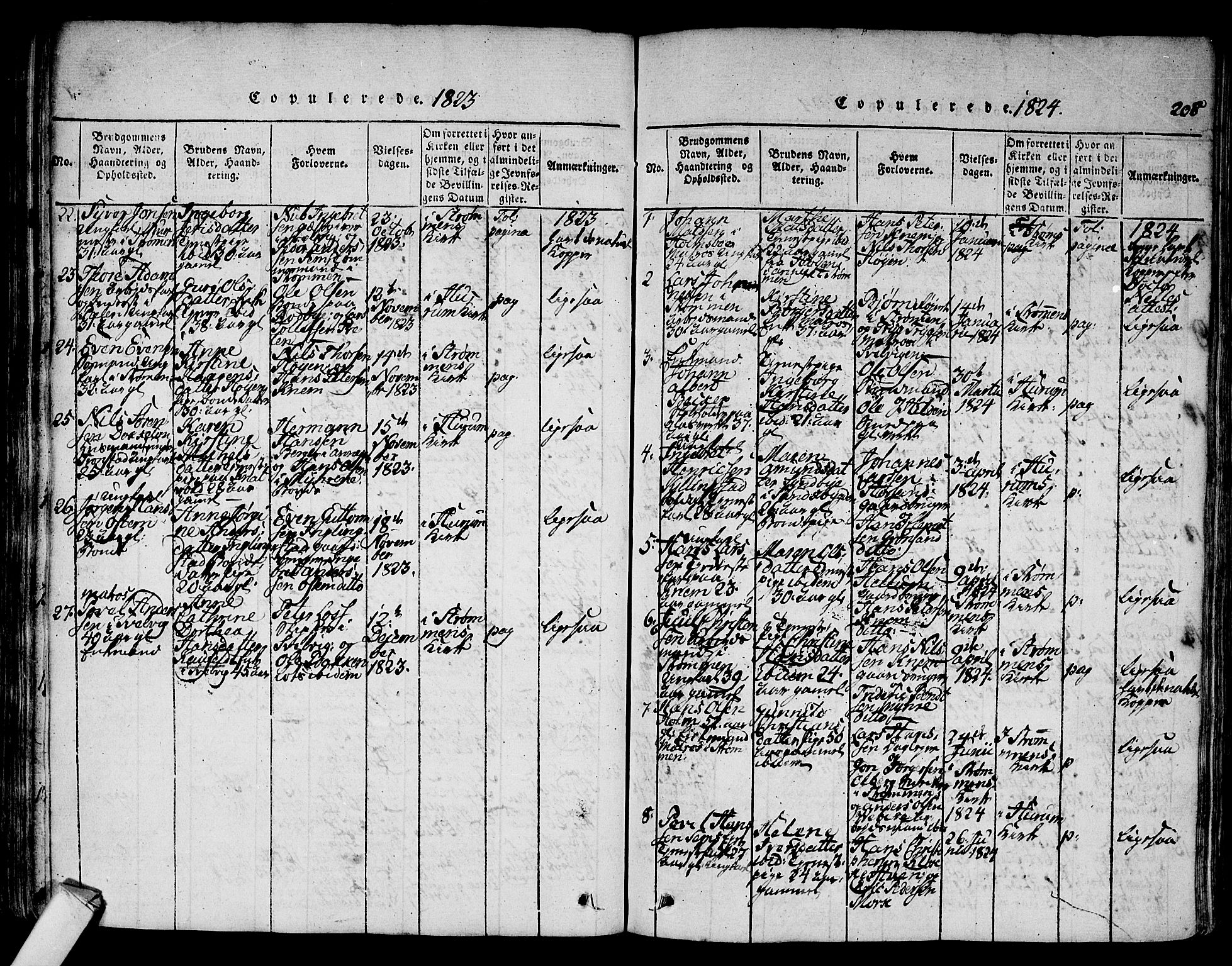 Hurum kirkebøker, SAKO/A-229/F/Fa/L0009: Parish register (official) no. 9, 1816-1826, p. 208