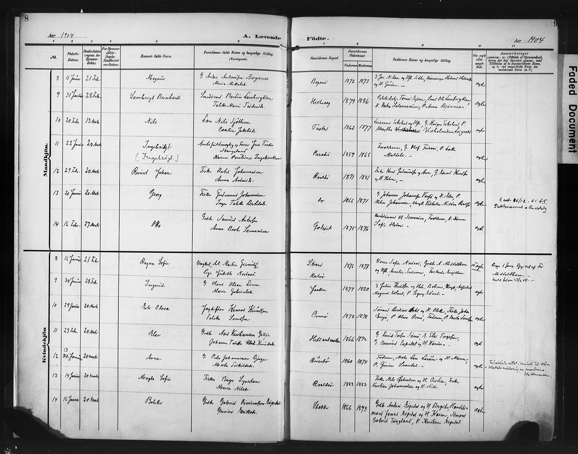 Hetland sokneprestkontor, AV/SAST-A-101826/30/30BA/L0013: Parish register (official) no. A 13, 1904-1918, p. 8-9