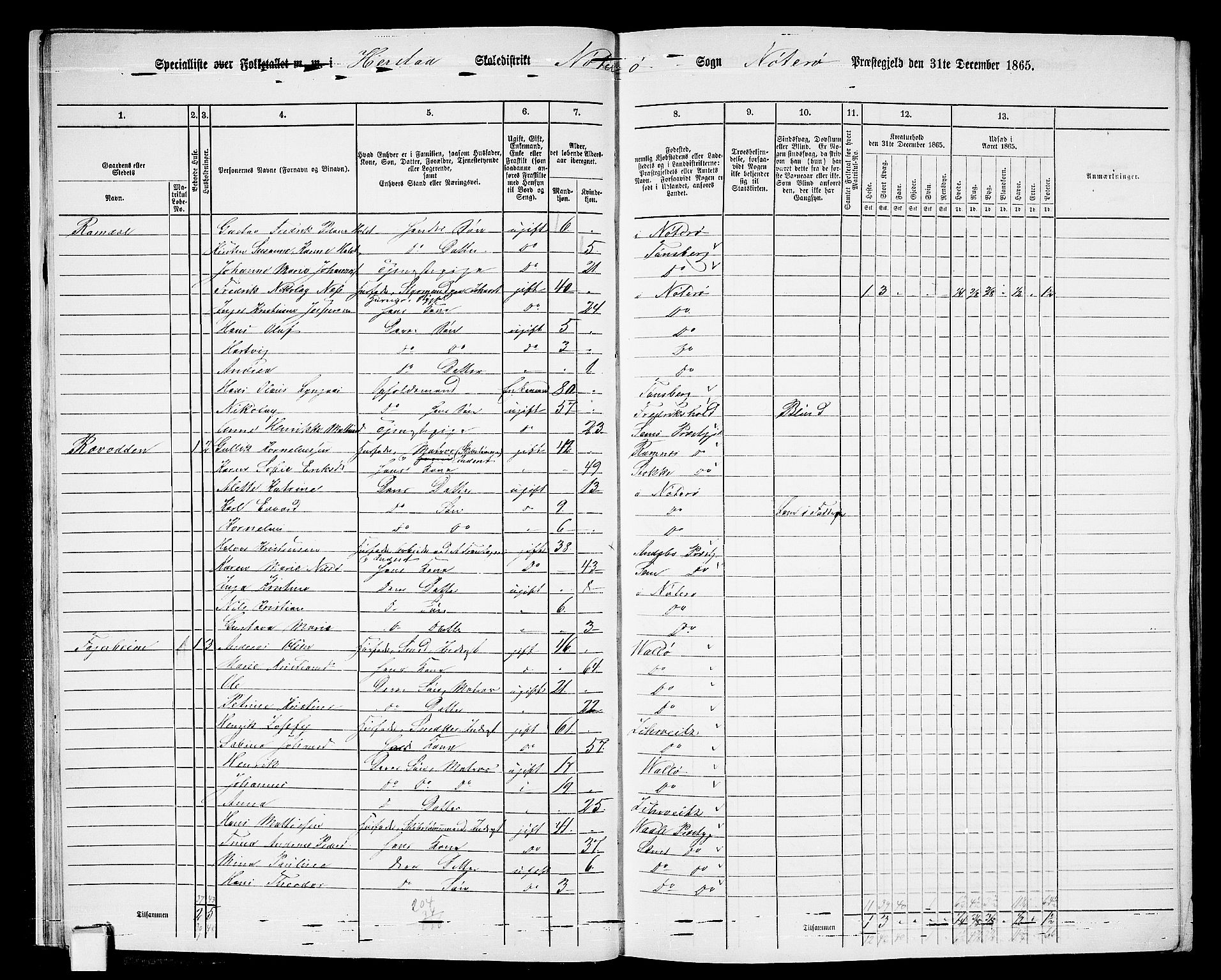 RA, 1865 census for Nøtterøy, 1865, p. 20