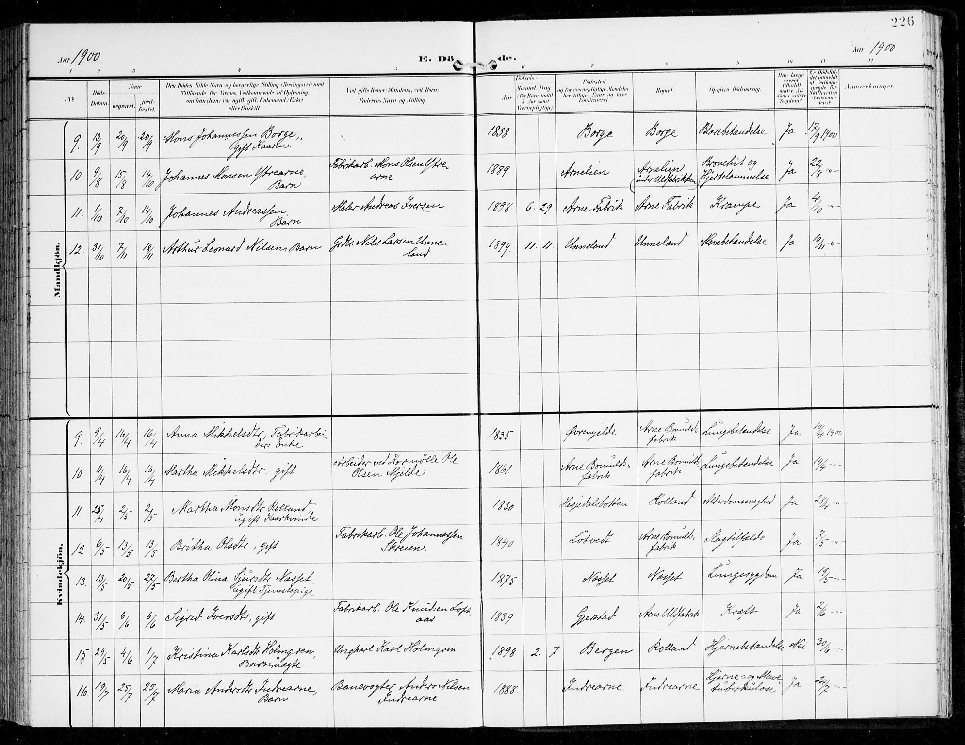 Haus sokneprestembete, SAB/A-75601/H/Haa: Parish register (official) no. D 2, 1899-1912, p. 226