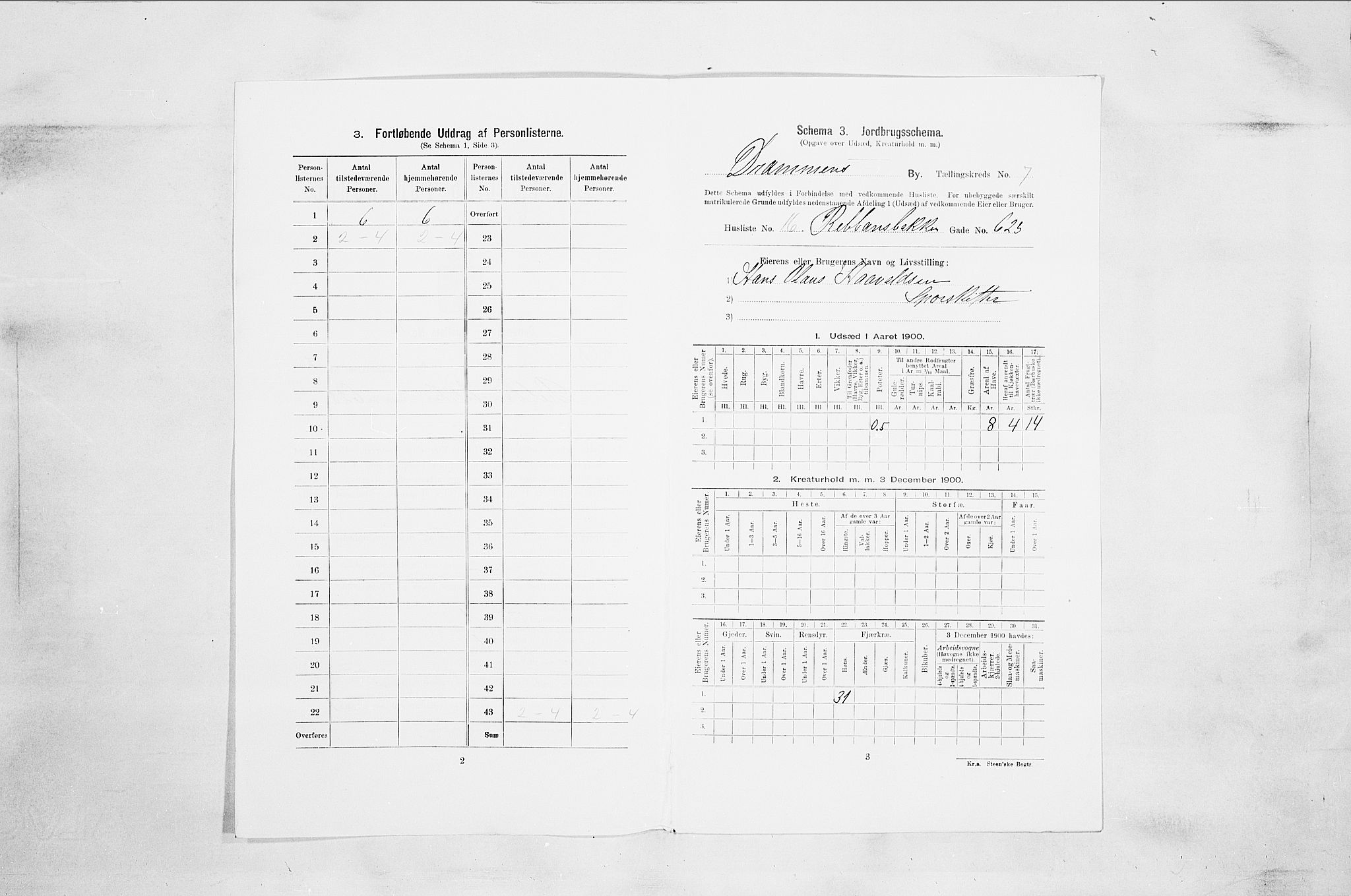 RA, 1900 census for Drammen, 1900, p. 1305