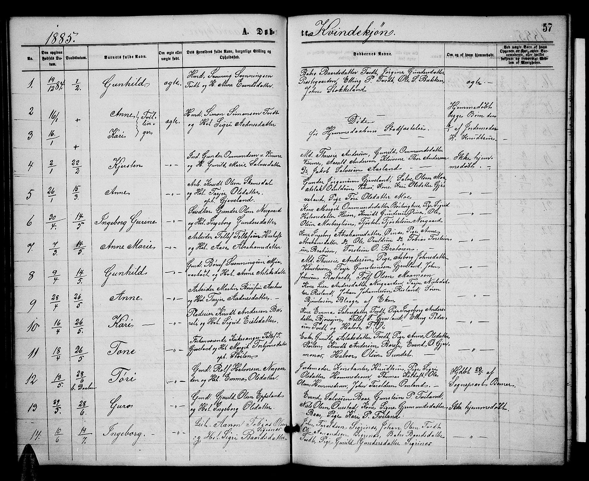 Åmli sokneprestkontor, SAK/1111-0050/F/Fb/Fbc/L0003: Parish register (copy) no. B 3, 1868-1888, p. 57