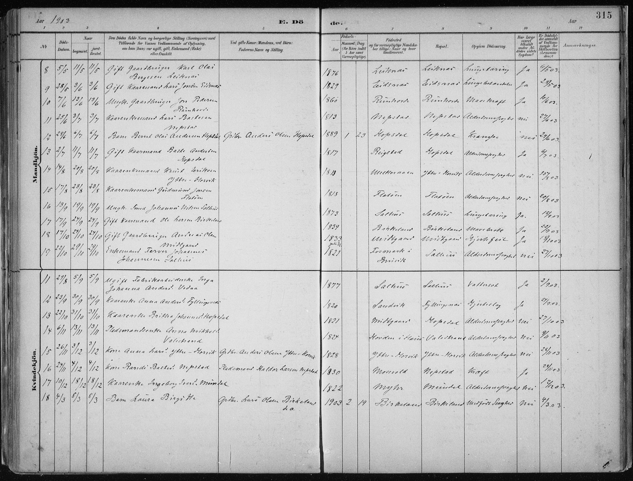 Hamre sokneprestembete, AV/SAB-A-75501/H/Ha/Haa/Haab/L0001: Parish register (official) no. B  1, 1882-1905, p. 315