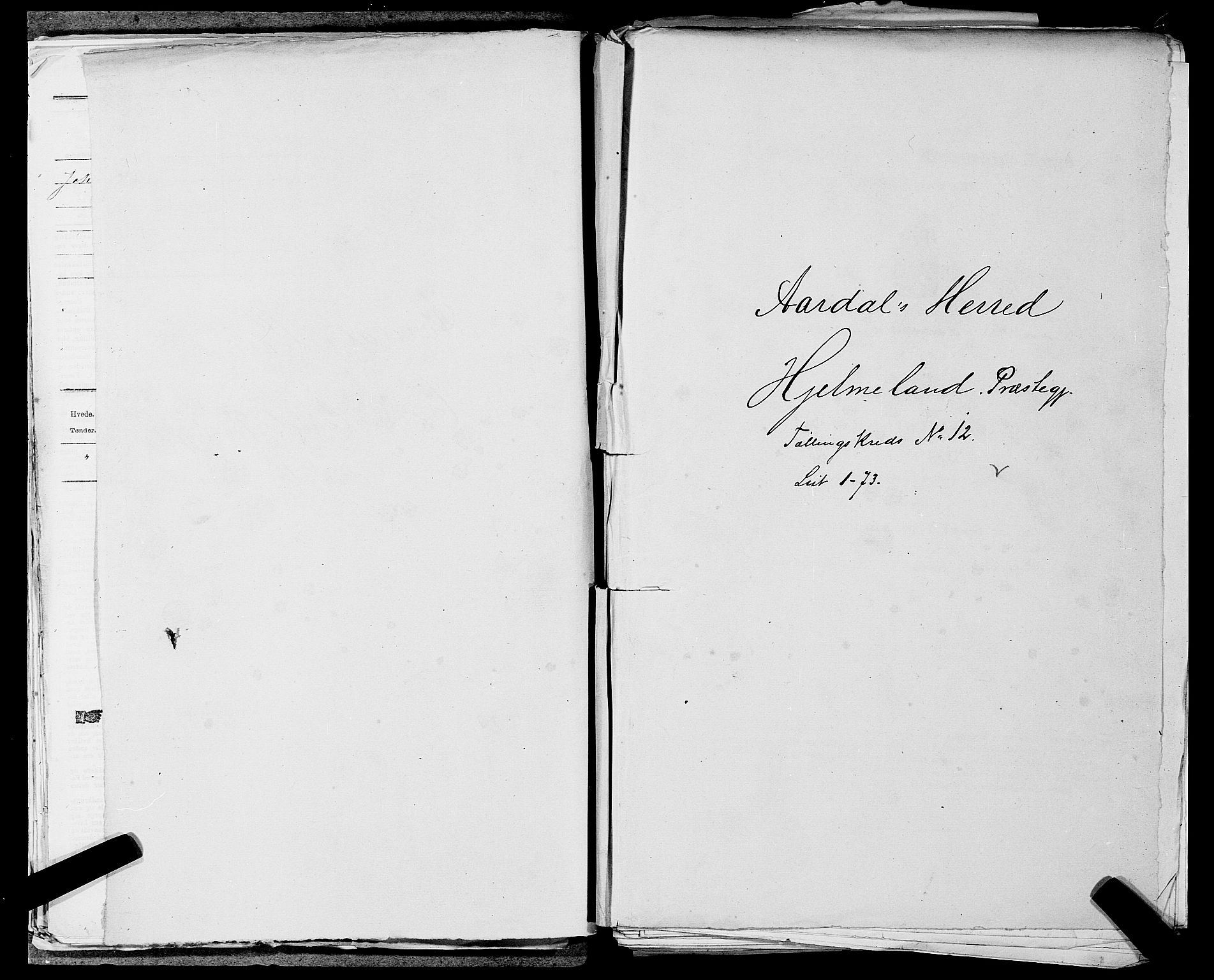 SAST, 1875 census for 1133P Hjelmeland, 1875, p. 1381