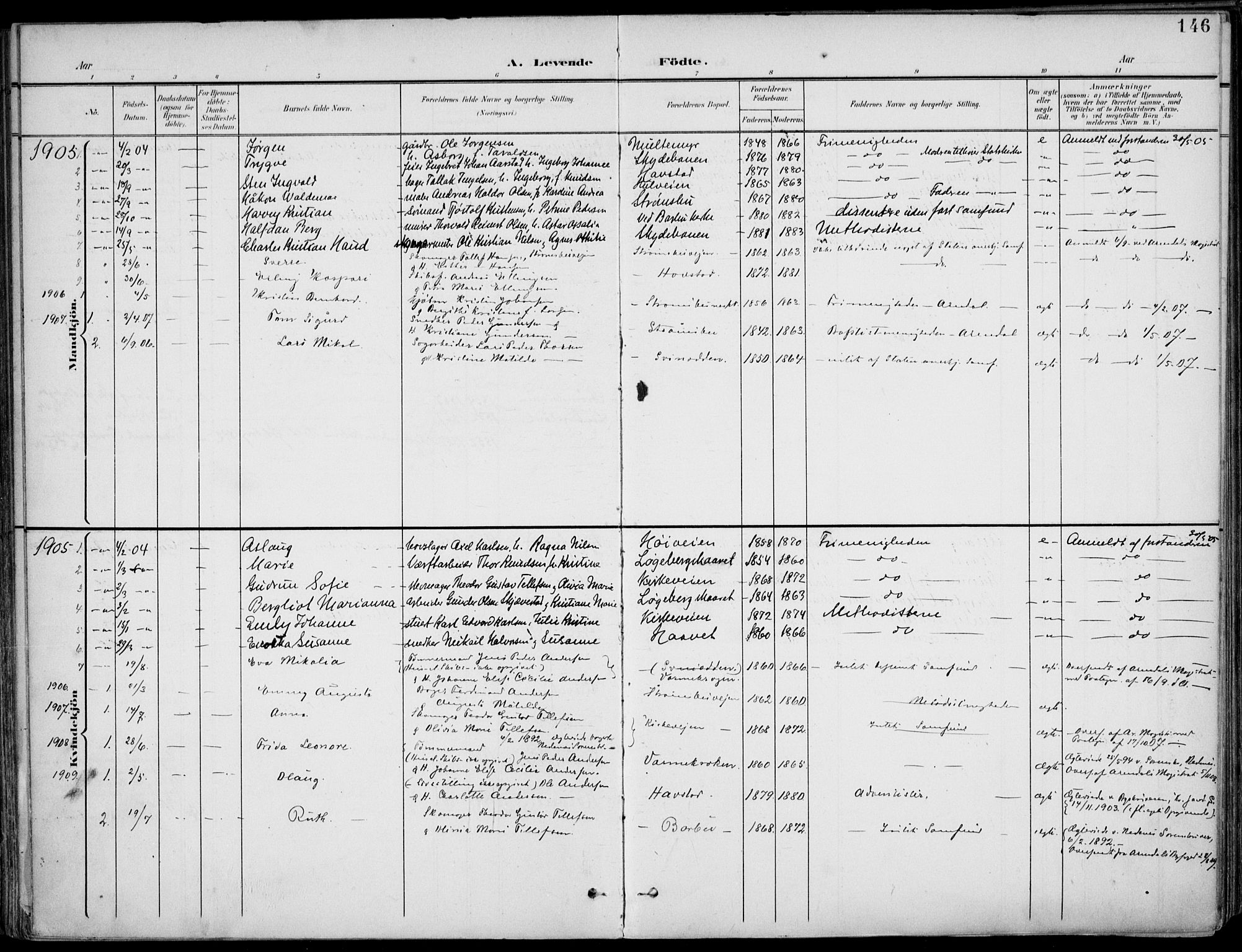 Barbu sokneprestkontor, AV/SAK-1111-0003/F/Fa/L0005: Parish register (official) no. A 5, 1899-1909, p. 146