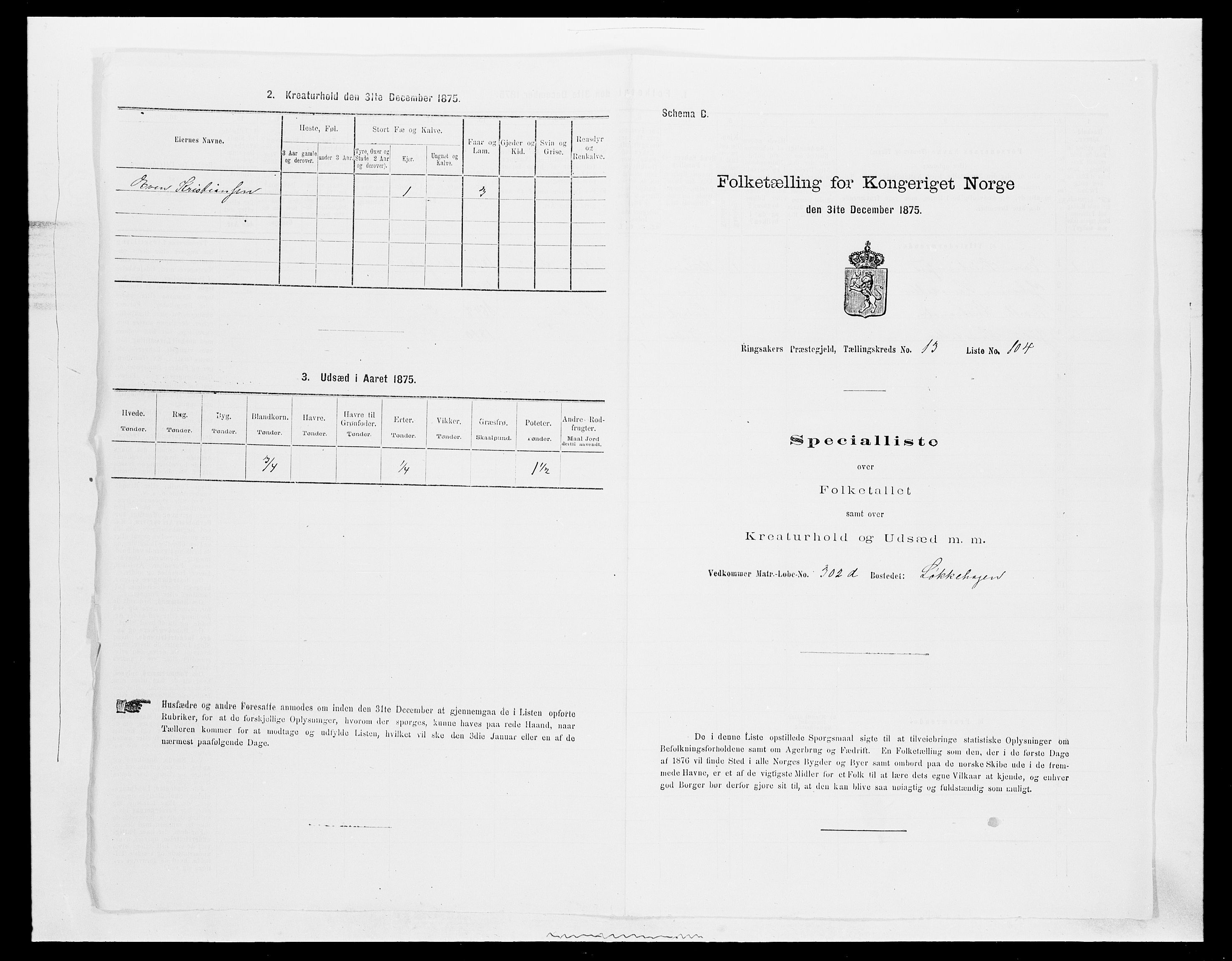 SAH, 1875 census for 0412P Ringsaker, 1875, p. 2817