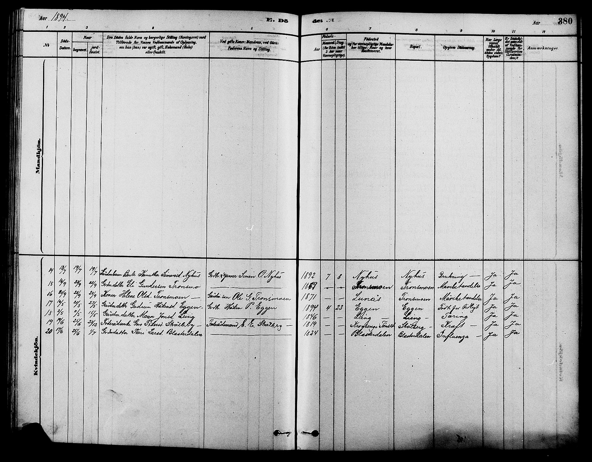 Alvdal prestekontor, AV/SAH-PREST-060/H/Ha/Hab/L0003: Parish register (copy) no. 3, 1878-1907, p. 380