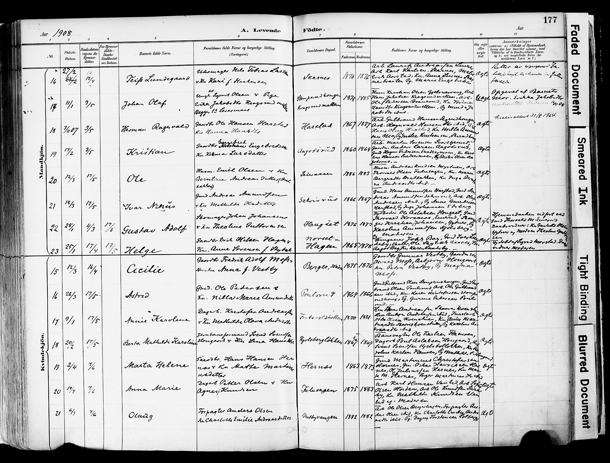 Sør-Odal prestekontor, AV/SAH-PREST-030/H/Ha/Haa/L0006: Parish register (official) no. 6, 1886-1931, p. 177