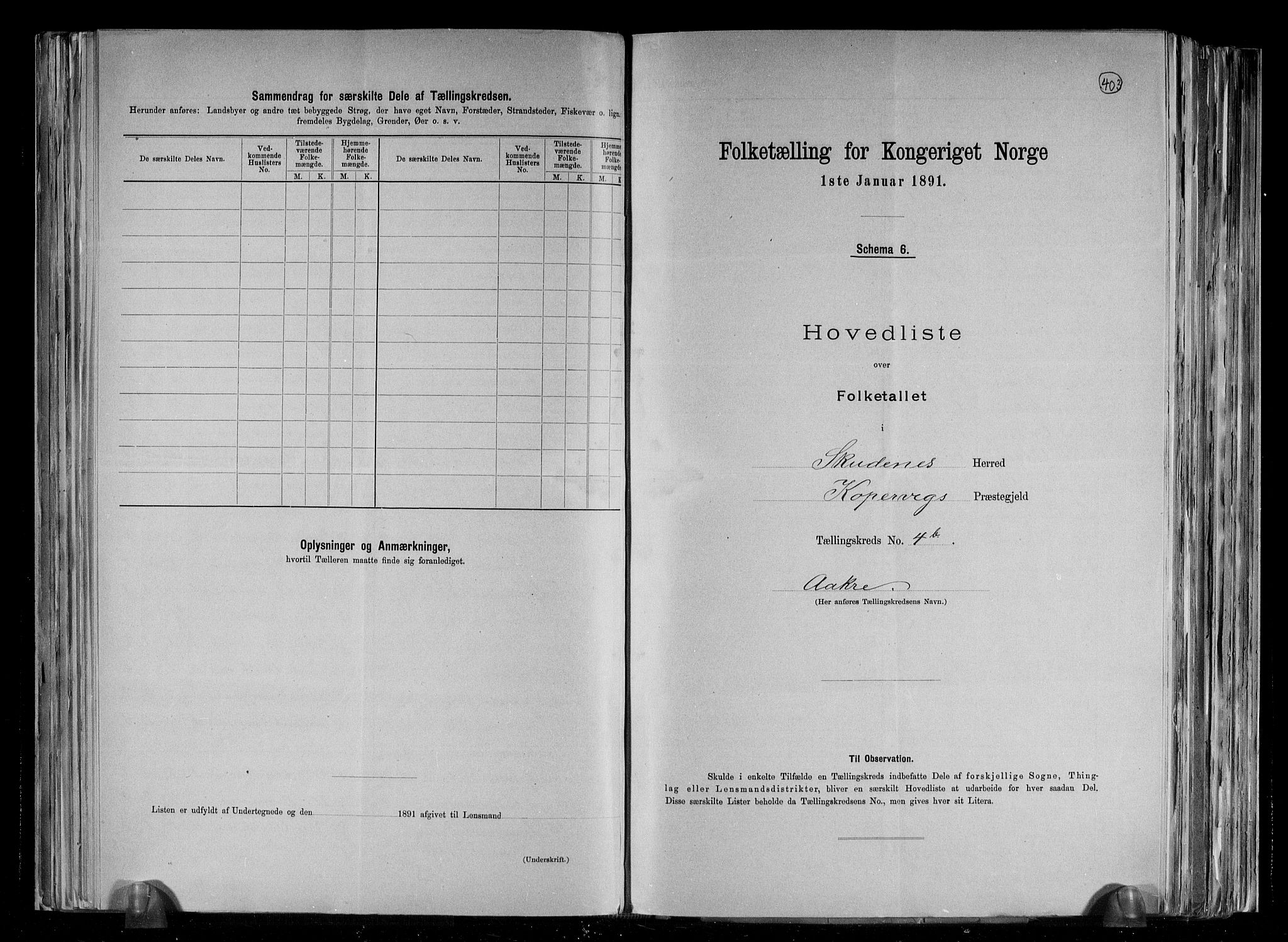 RA, 1891 census for 1150 Skudenes, 1891, p. 17