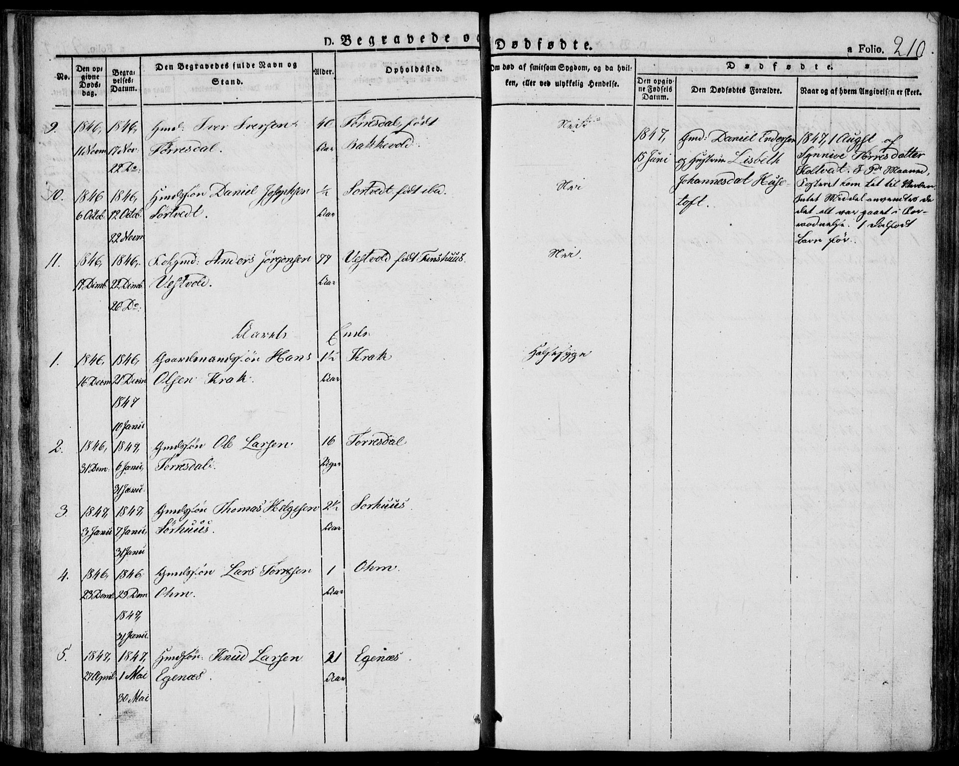 Skjold sokneprestkontor, AV/SAST-A-101847/H/Ha/Haa/L0005: Parish register (official) no. A 5, 1830-1856, p. 210