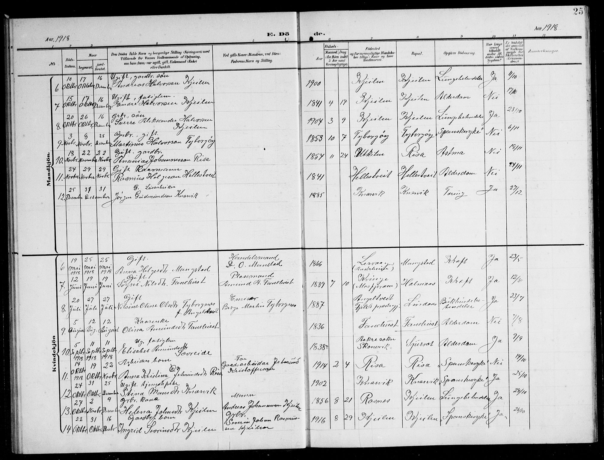 Lindås Sokneprestembete, AV/SAB-A-76701/H/Hab/Habb/L0006: Parish register (copy) no. B 6, 1906-1944, p. 25