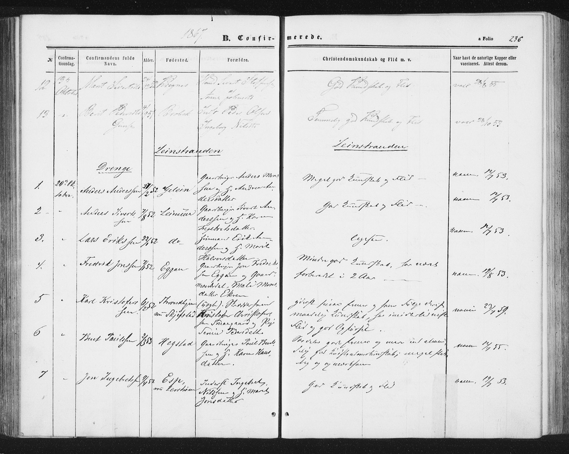 Ministerialprotokoller, klokkerbøker og fødselsregistre - Sør-Trøndelag, SAT/A-1456/691/L1077: Parish register (official) no. 691A09, 1862-1873, p. 236