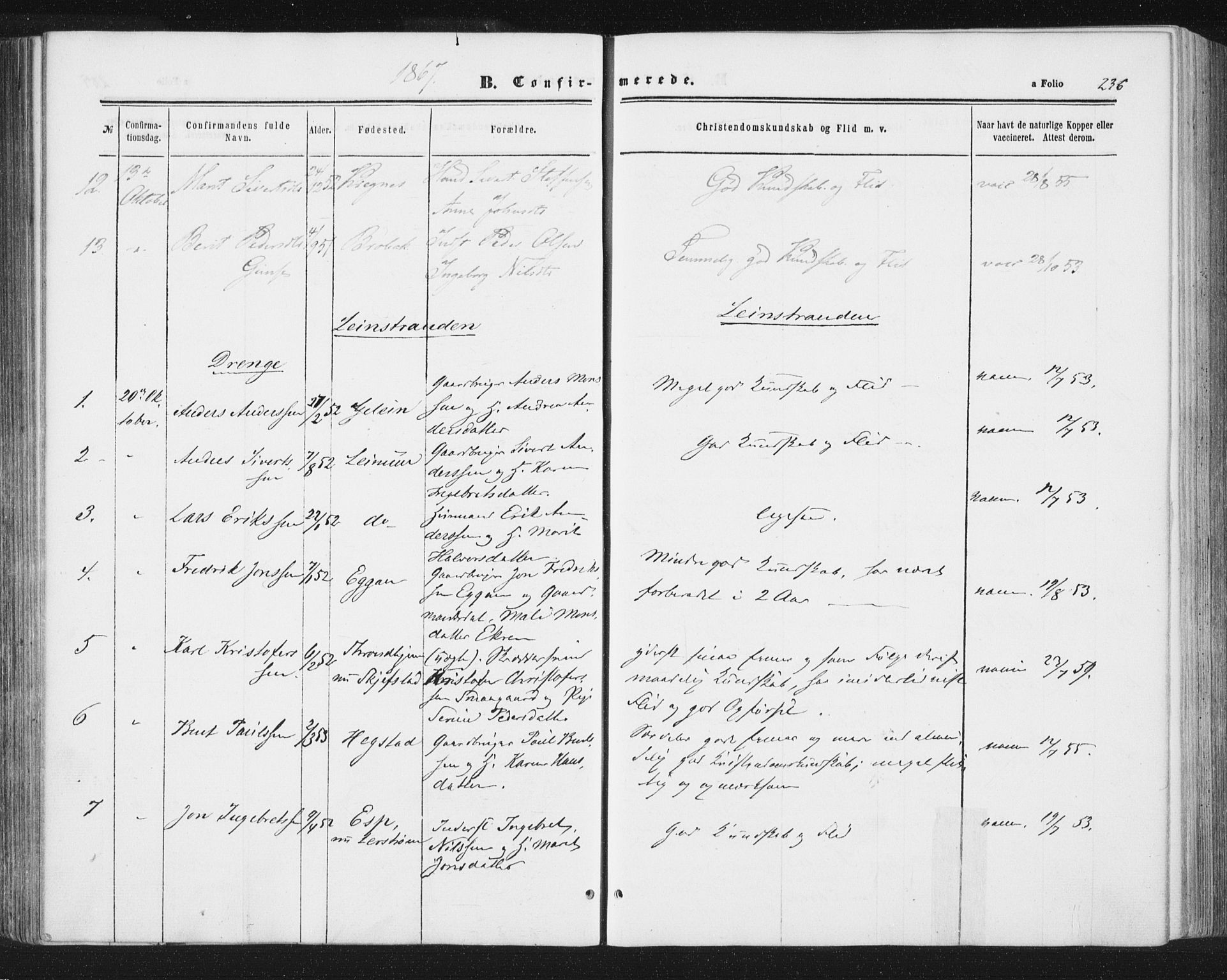 Ministerialprotokoller, klokkerbøker og fødselsregistre - Sør-Trøndelag, AV/SAT-A-1456/691/L1077: Parish register (official) no. 691A09, 1862-1873, p. 236