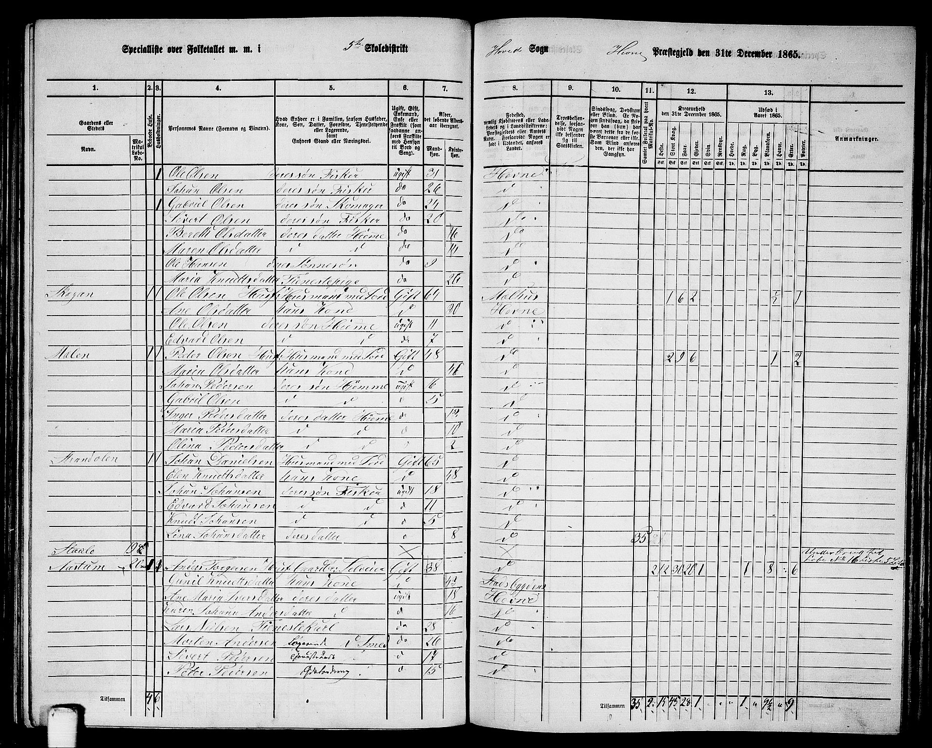 RA, 1865 census for Hemne, 1865, p. 120