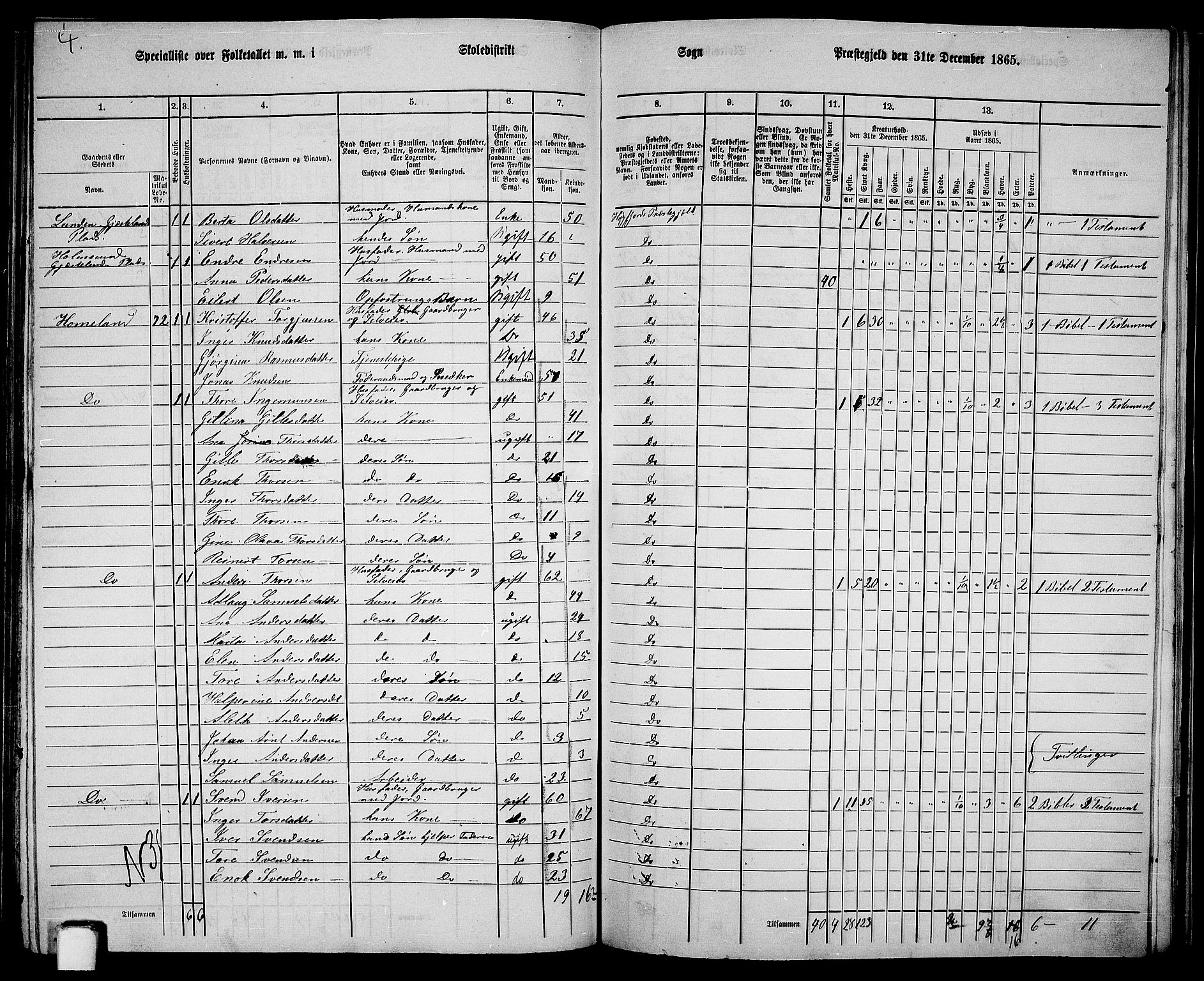 RA, 1865 census for Høgsfjord, 1865, p. 114