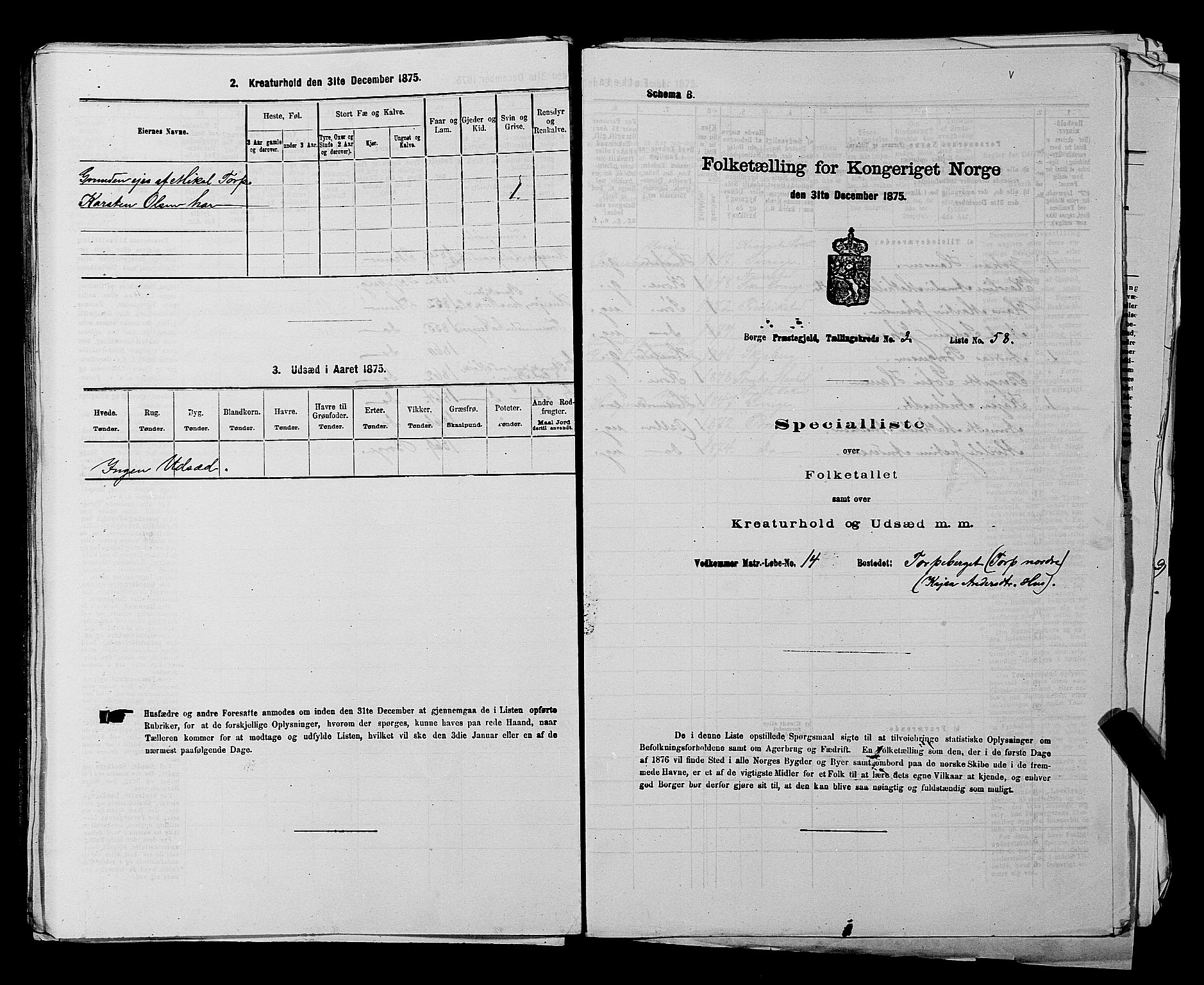 RA, 1875 census for 0113P Borge, 1875, p. 506