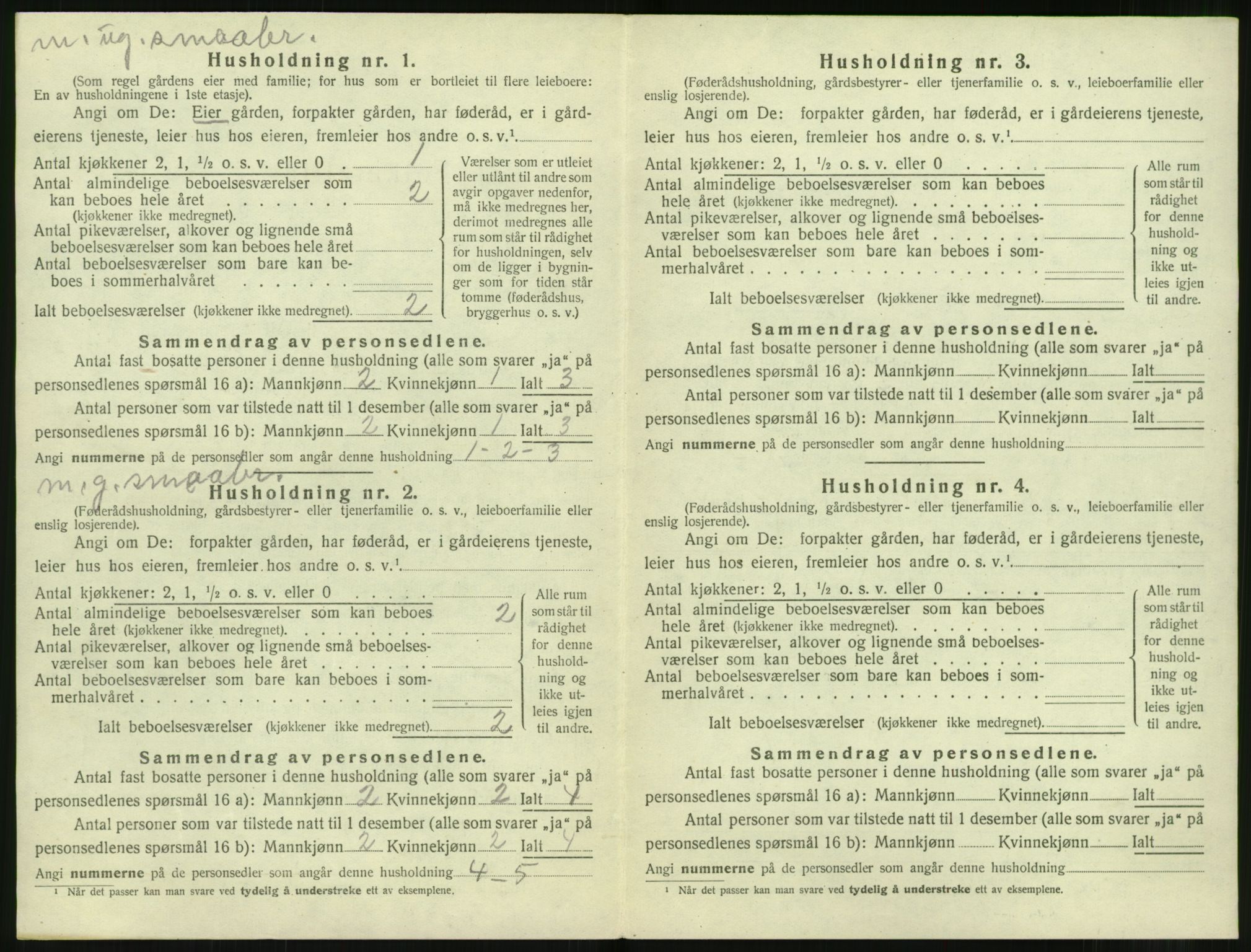 SAT, 1920 census for Sunnylven, 1920, p. 111