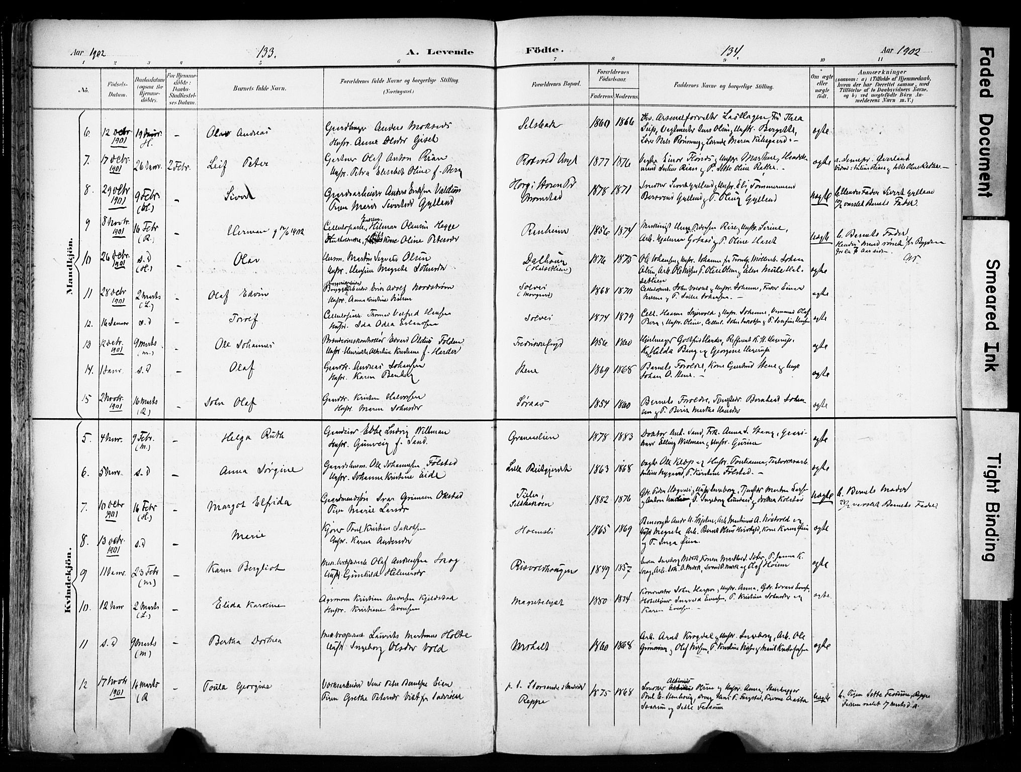 Ministerialprotokoller, klokkerbøker og fødselsregistre - Sør-Trøndelag, AV/SAT-A-1456/606/L0301: Parish register (official) no. 606A16, 1894-1907, p. 133-134