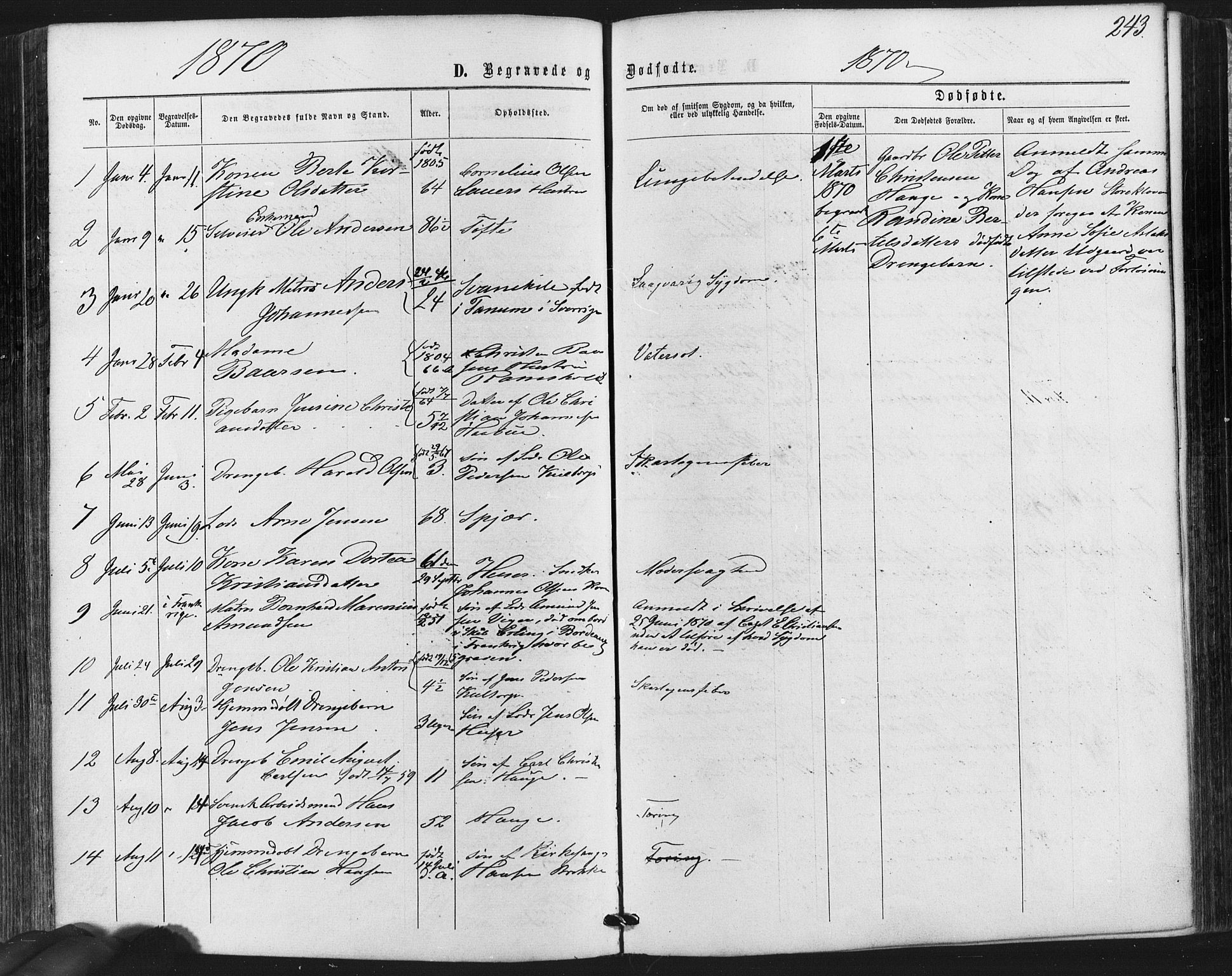 Hvaler prestekontor Kirkebøker, SAO/A-2001/F/Fa/L0007: Parish register (official) no. I 7, 1864-1878, p. 243