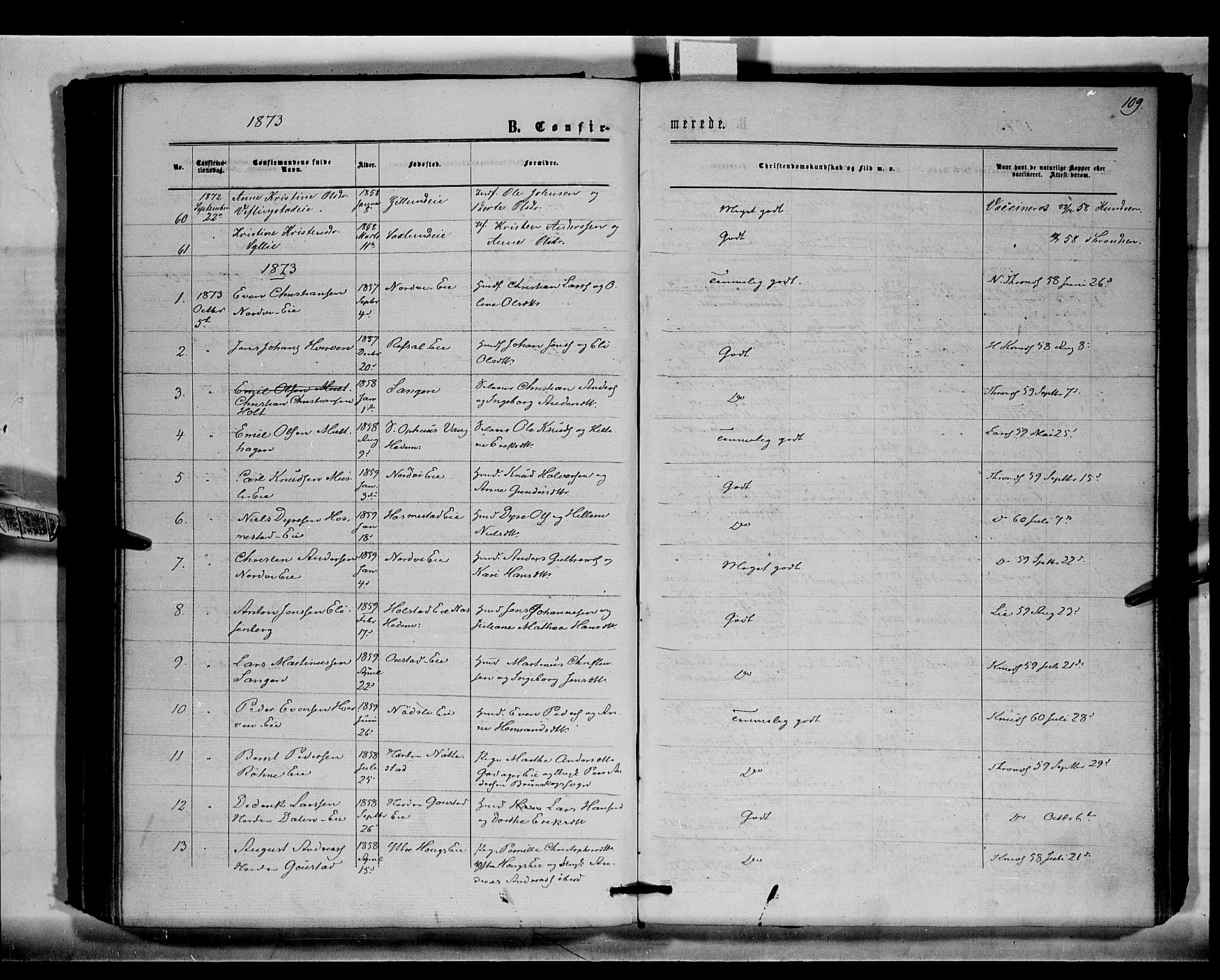 Stange prestekontor, SAH/PREST-002/K/L0015: Parish register (official) no. 15, 1862-1879, p. 109