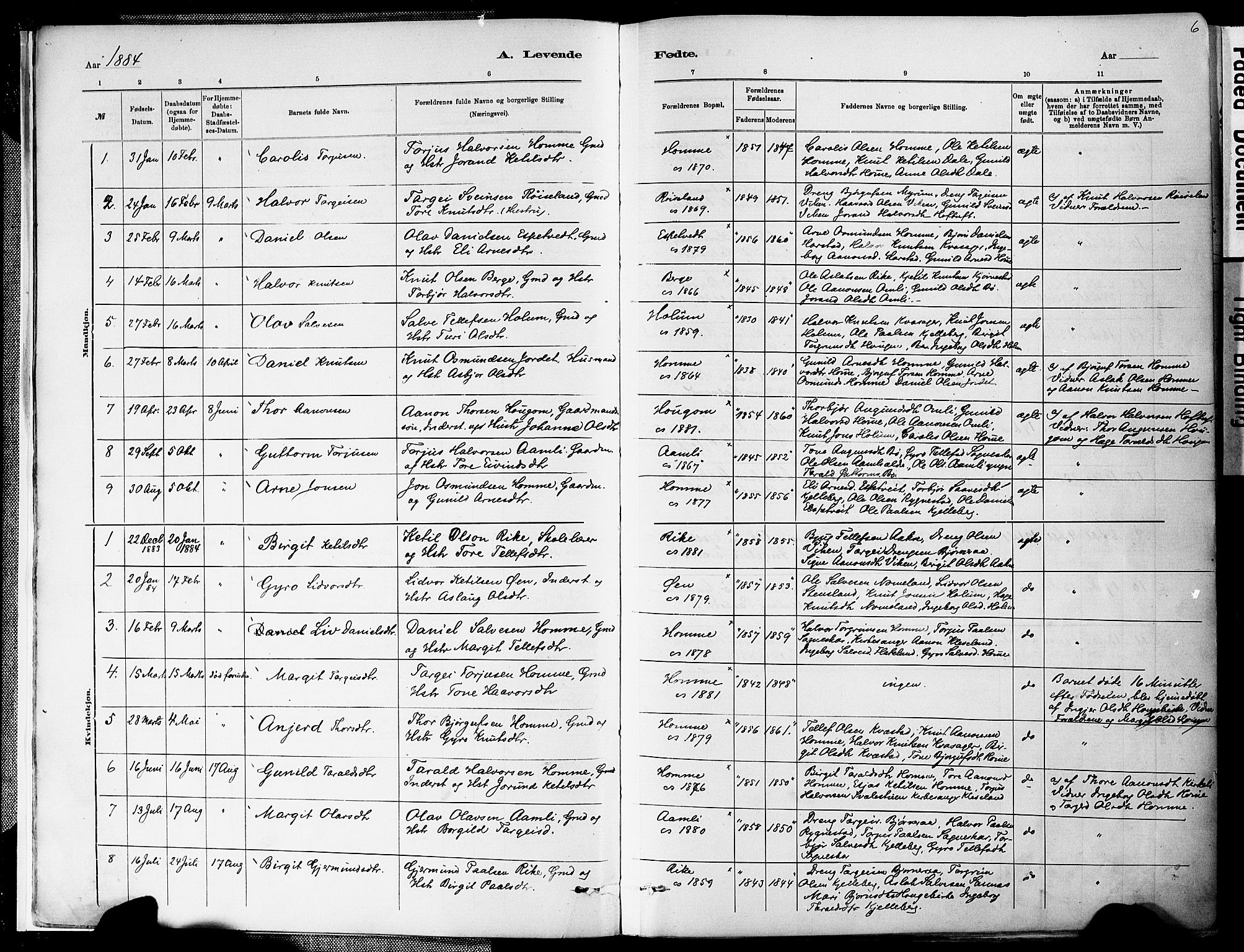 Valle sokneprestkontor, AV/SAK-1111-0044/F/Fa/Fac/L0009: Parish register (official) no. A 9, 1882-1913, p. 6