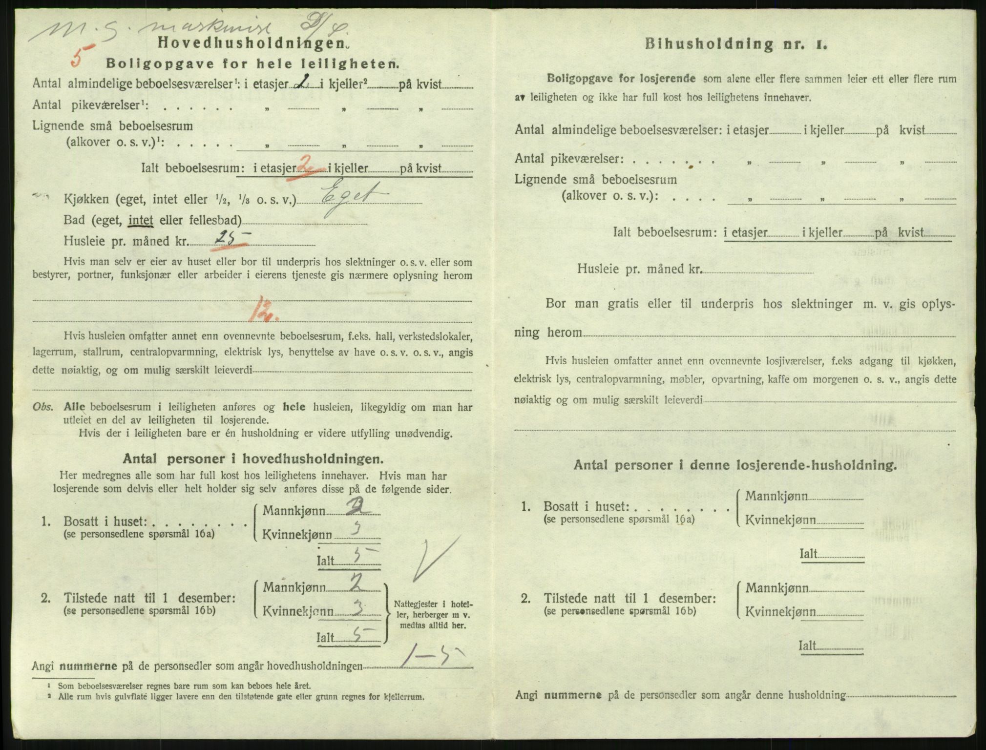 SAKO, 1920 census for Larvik, 1920, p. 6717