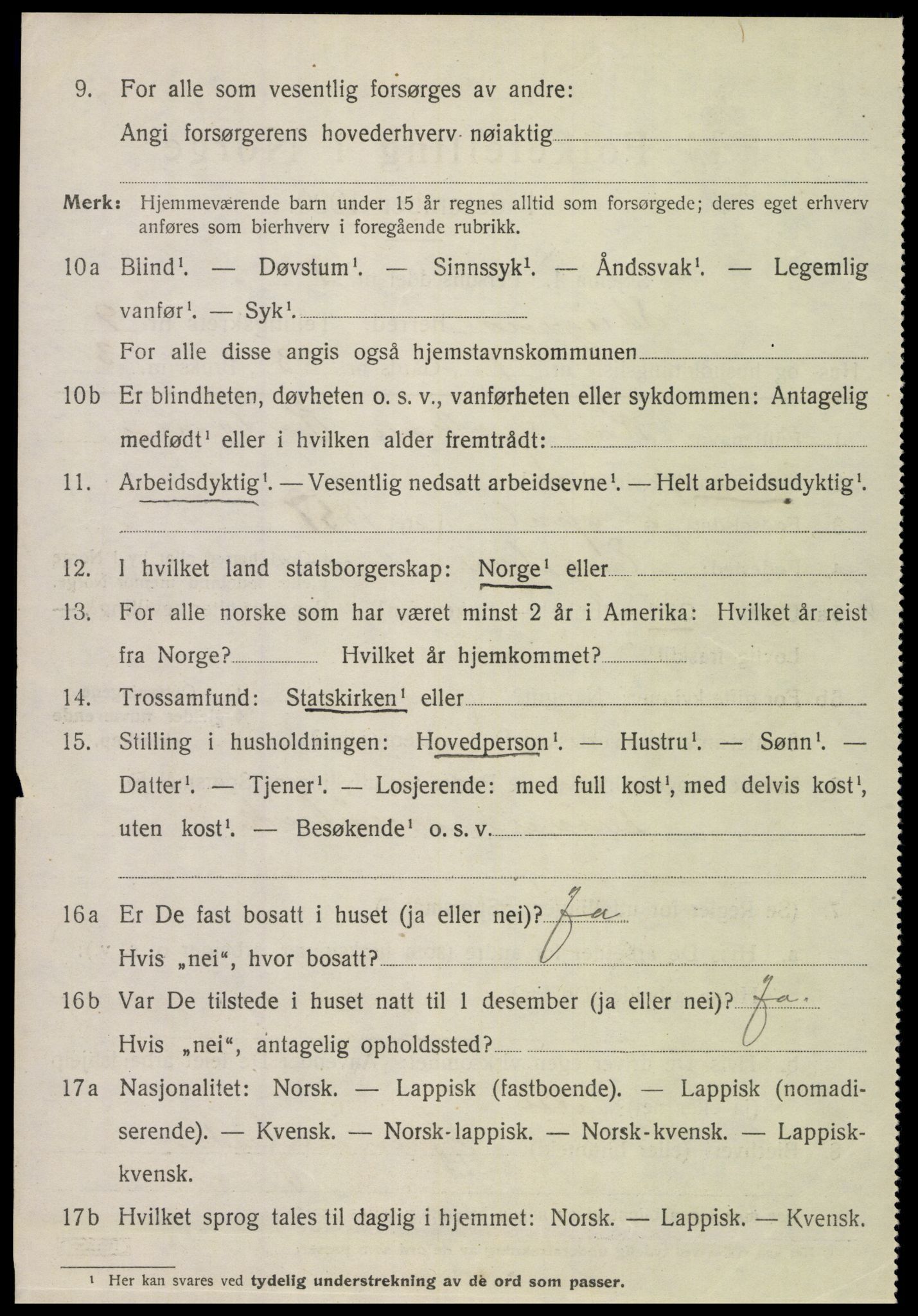 SAT, 1920 census for Steigen, 1920, p. 3953