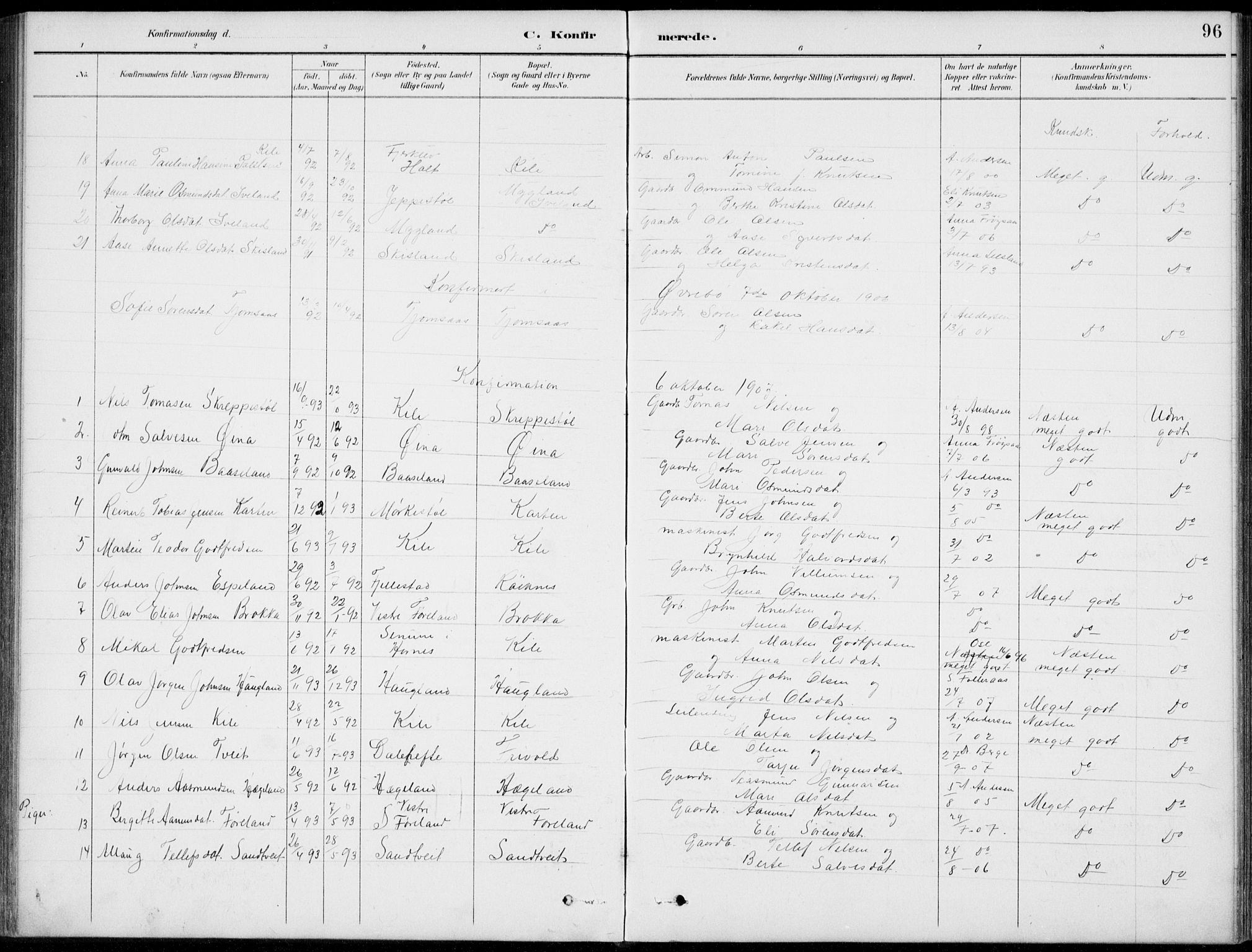 Vennesla sokneprestkontor, AV/SAK-1111-0045/Fb/Fba/L0003: Parish register (copy) no. B 3, 1890-1919, p. 96