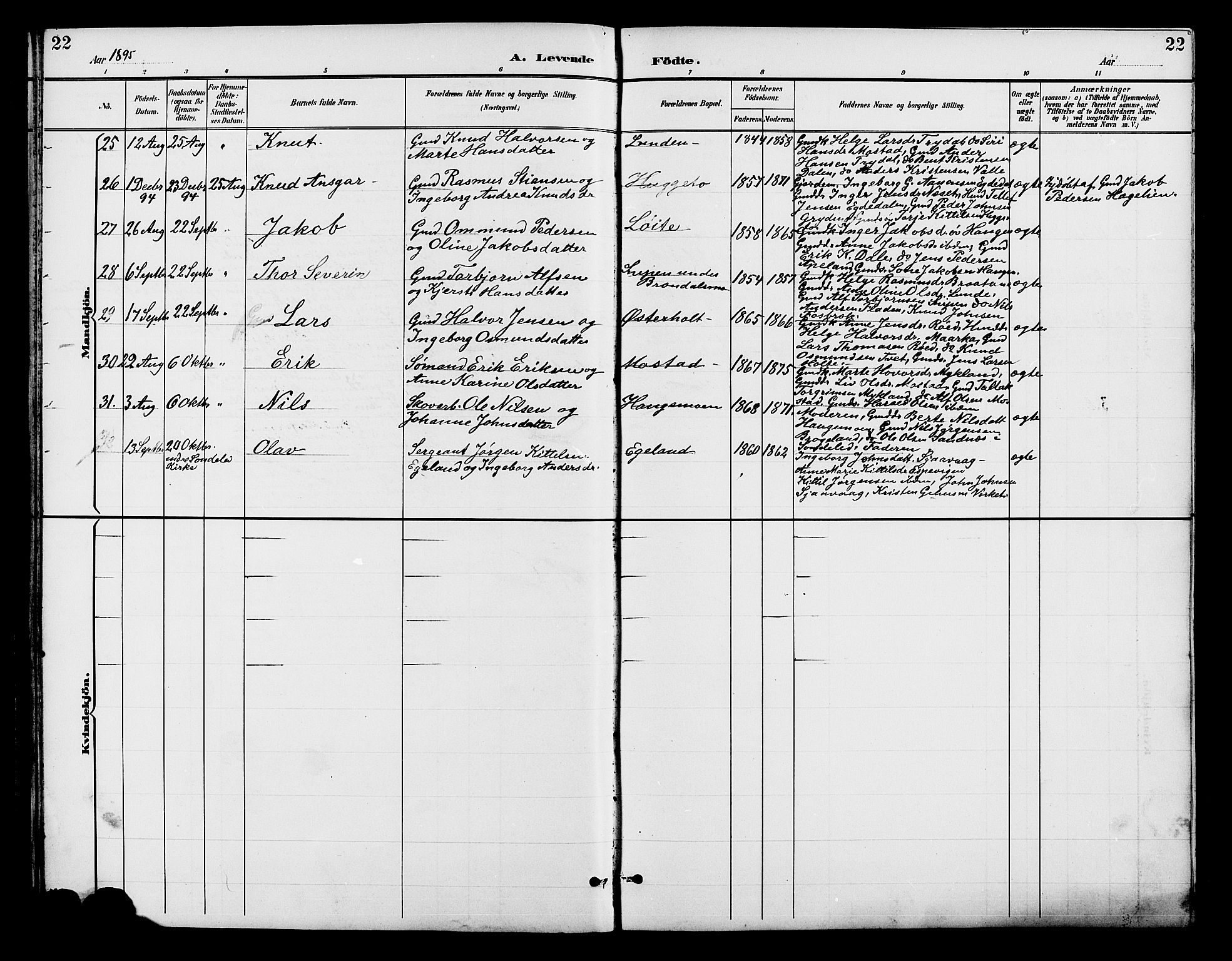 Gjerstad sokneprestkontor, AV/SAK-1111-0014/F/Fb/Fba/L0007: Parish register (copy) no. B 7, 1891-1908, p. 22