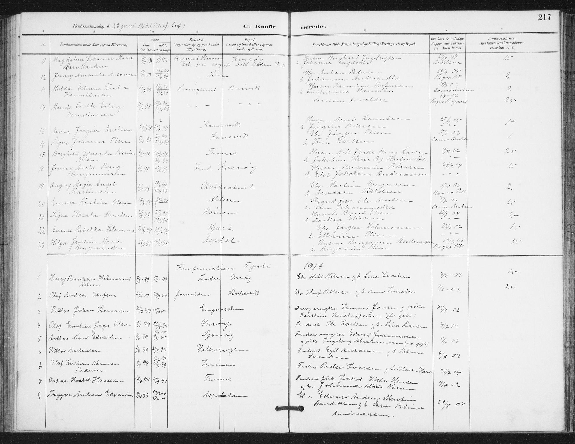 Ministerialprotokoller, klokkerbøker og fødselsregistre - Nordland, SAT/A-1459/839/L0573: Parish register (copy) no. 839C03, 1892-1917, p. 217