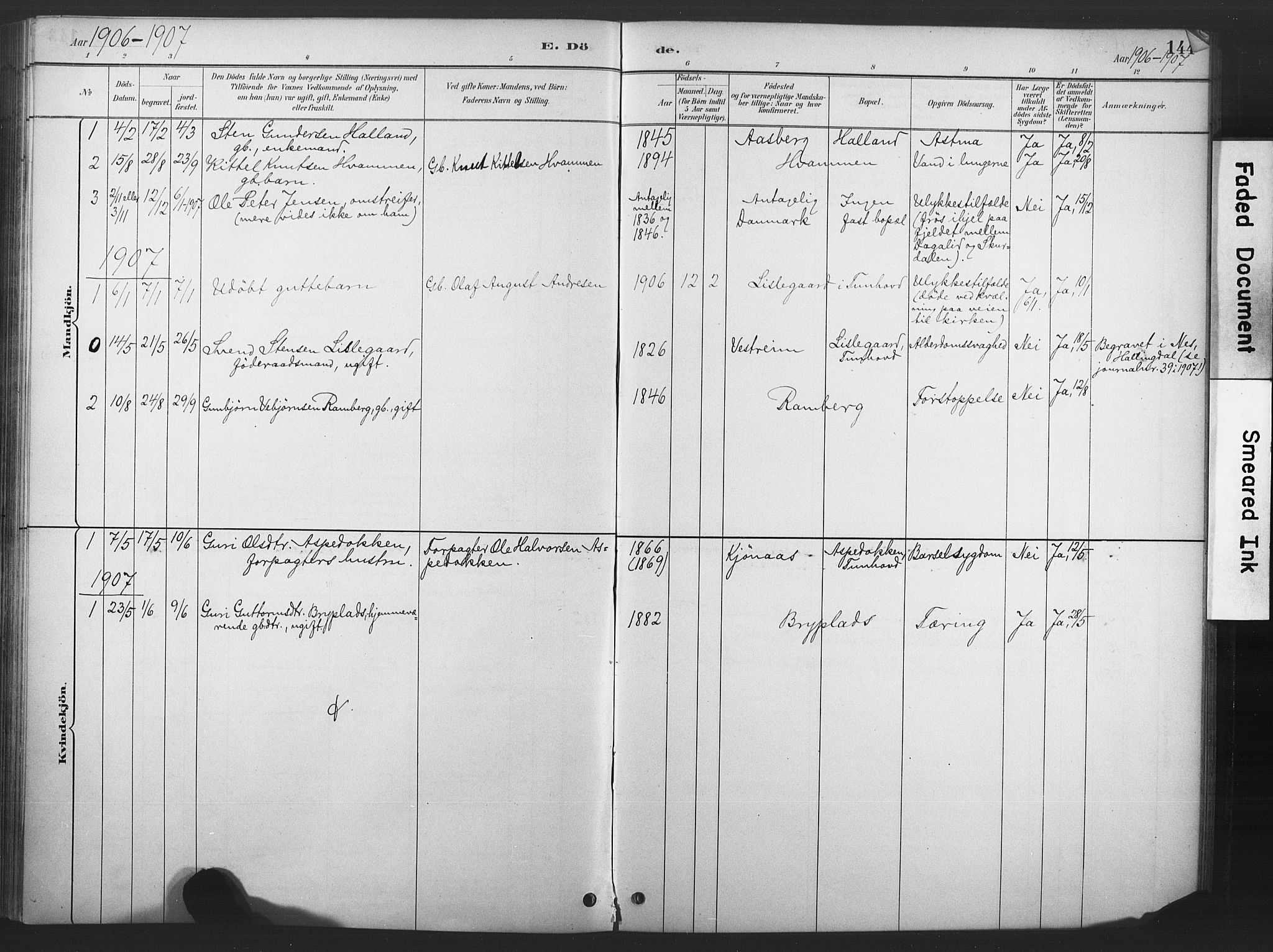 Nore kirkebøker, SAKO/A-238/F/Fd/L0001: Parish register (official) no. IV 1, 1878-1918, p. 144