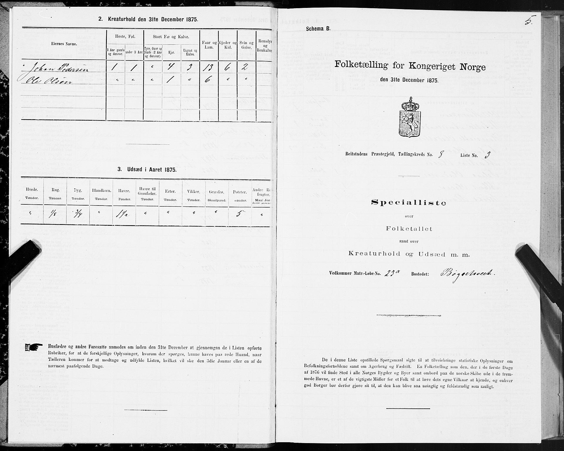 SAT, 1875 census for 1727P Beitstad, 1875, p. 6005