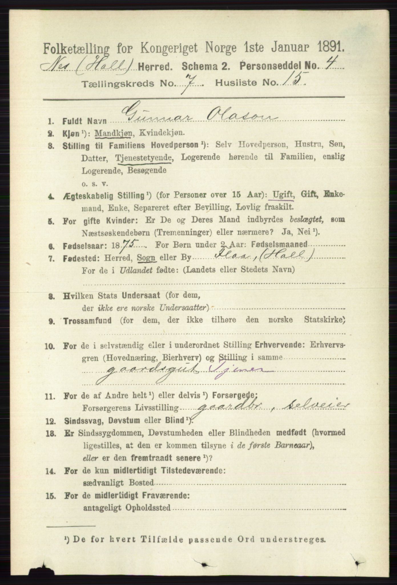 RA, 1891 census for 0616 Nes, 1891, p. 3685