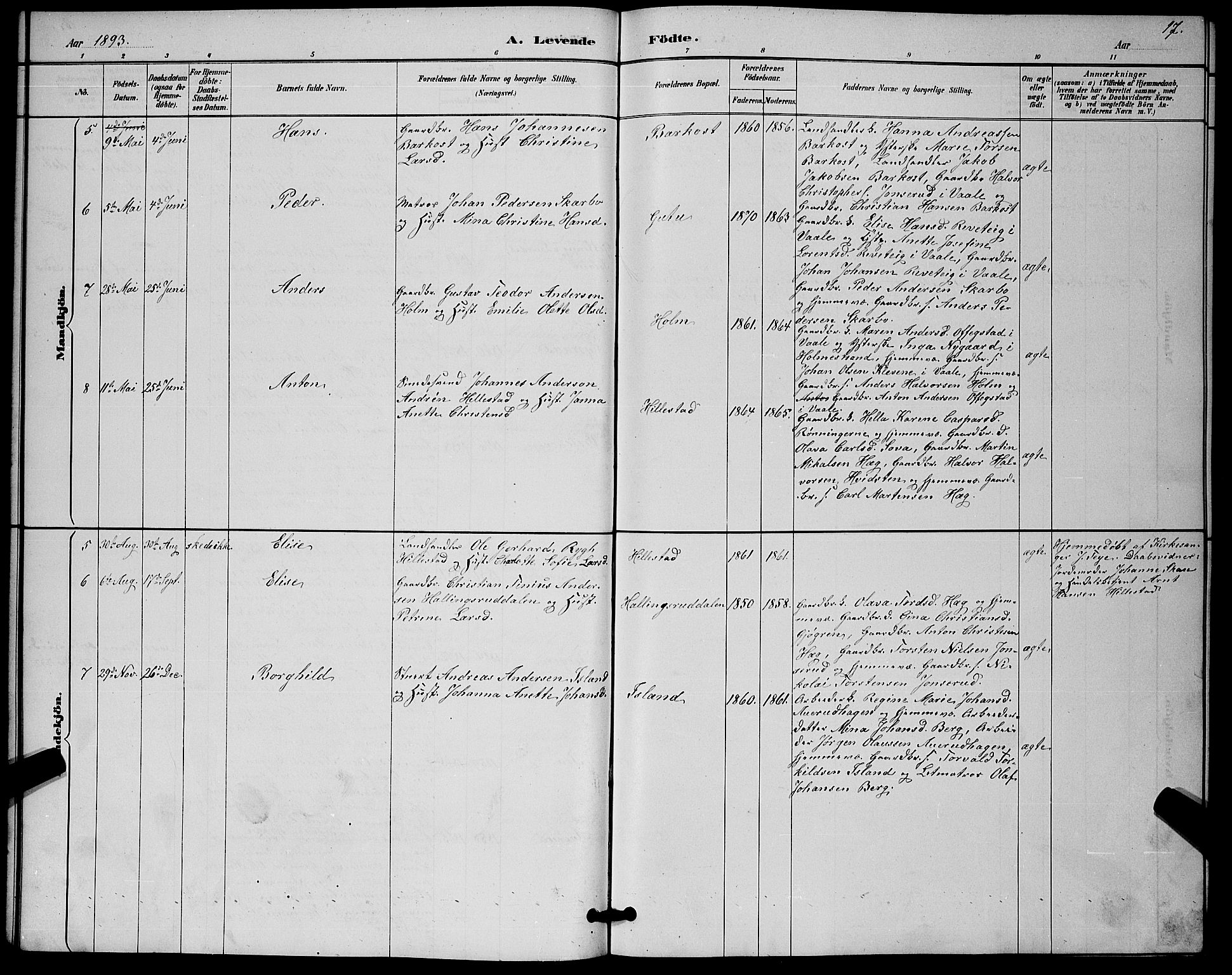 Botne kirkebøker, AV/SAKO-A-340/G/Gb/L0003: Parish register (copy) no. II 3, 1887-1899, p. 17