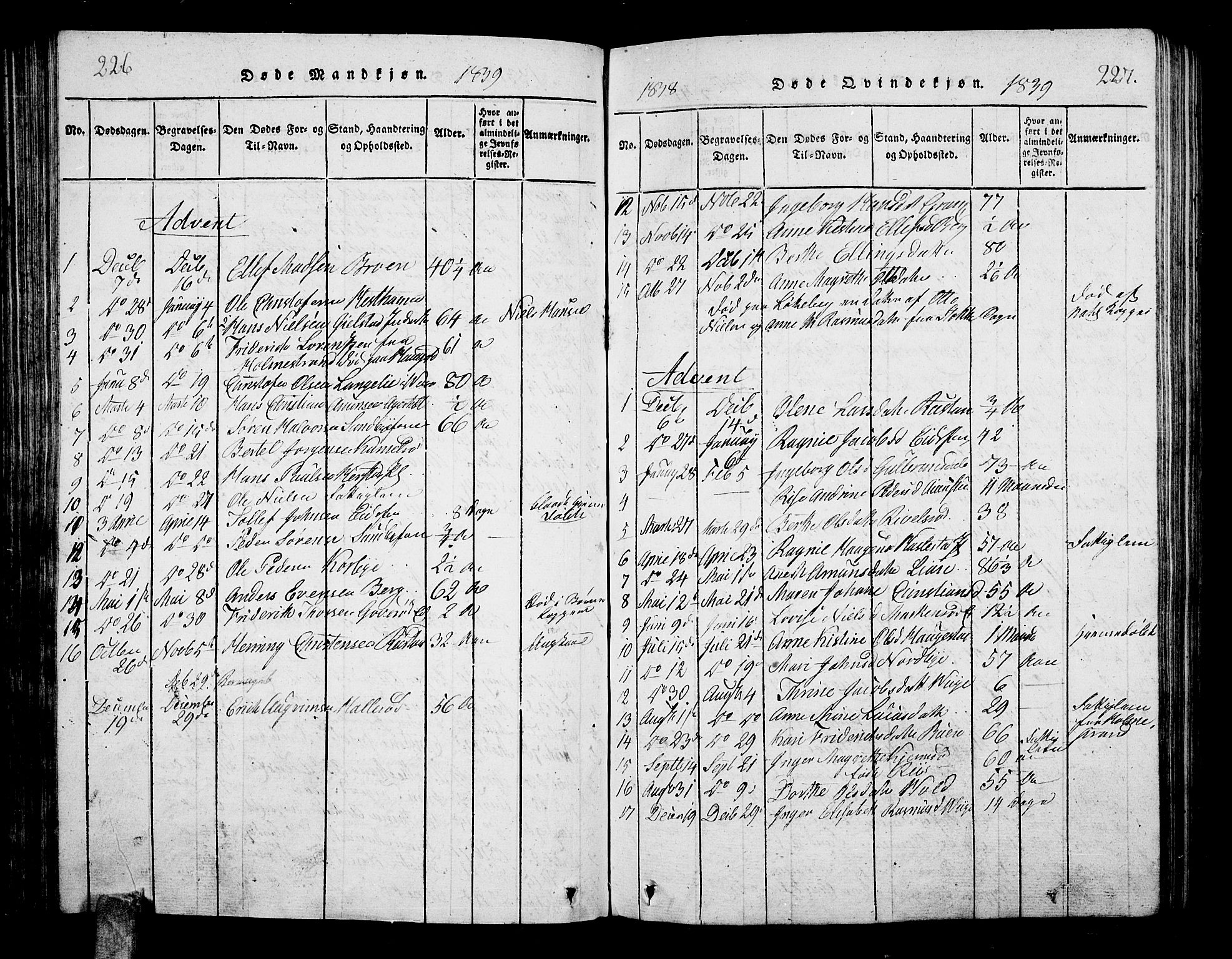 Hof kirkebøker, AV/SAKO-A-64/G/Ga/L0001: Parish register (copy) no. I 1, 1814-1844, p. 228-229