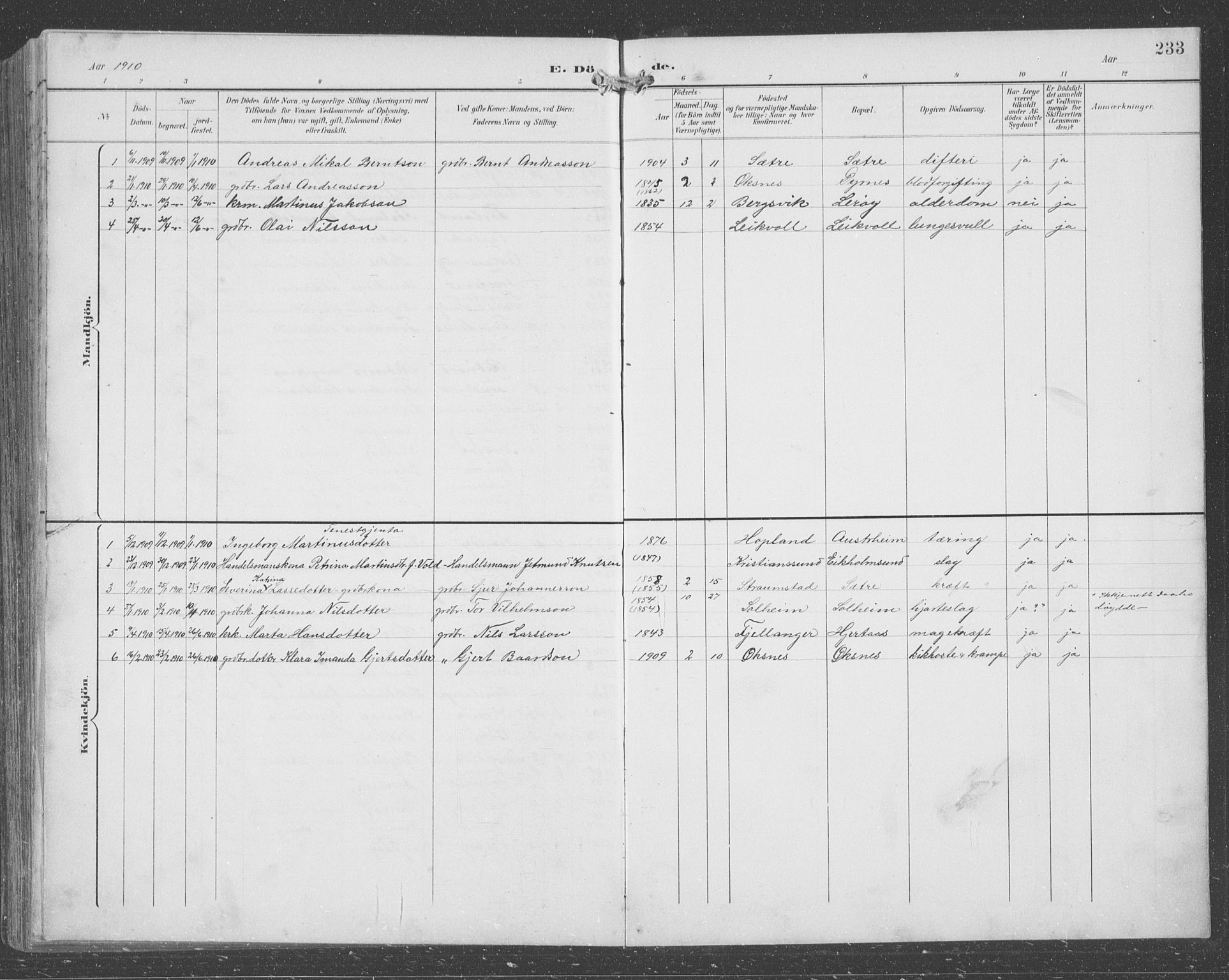 Lindås Sokneprestembete, AV/SAB-A-76701/H/Hab/Habc/L0004: Parish register (copy) no. C 4, 1894-1910, p. 233