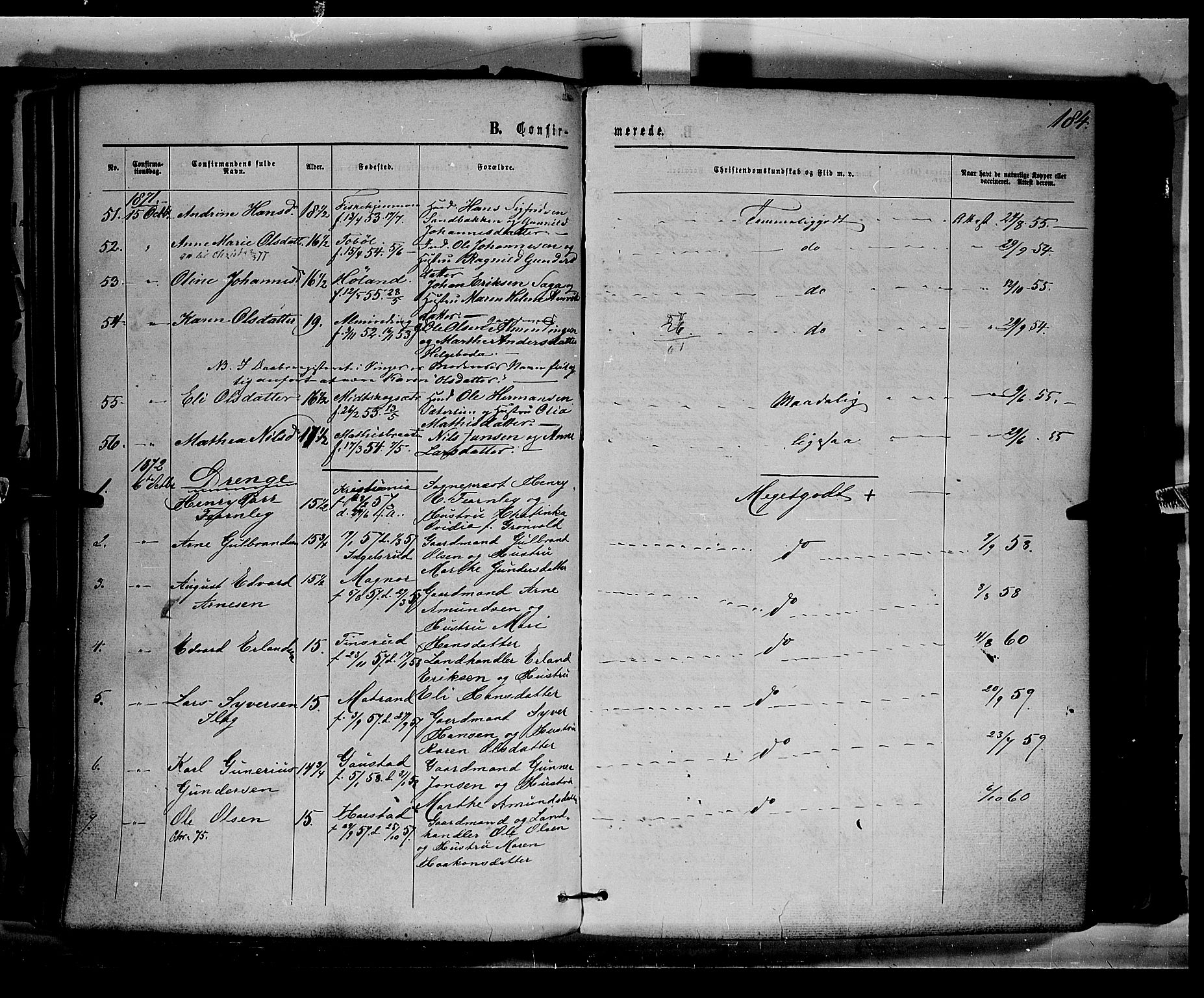 Eidskog prestekontor, AV/SAH-PREST-026/H/Ha/Haa/L0002: Parish register (official) no. 2, 1867-1878, p. 184