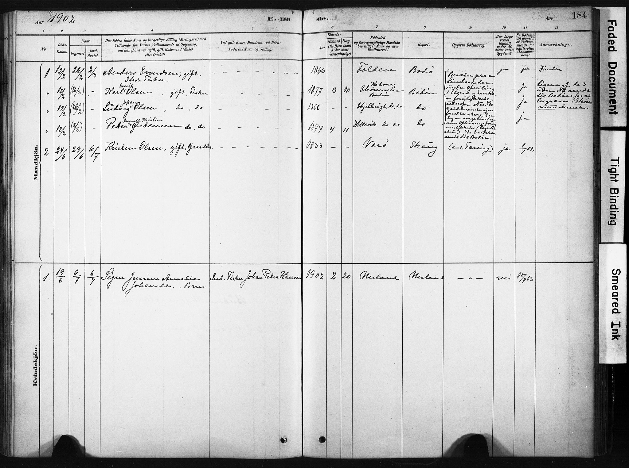 Ministerialprotokoller, klokkerbøker og fødselsregistre - Nordland, AV/SAT-A-1459/808/L0128: Parish register (official) no. 808A01, 1880-1902, p. 184