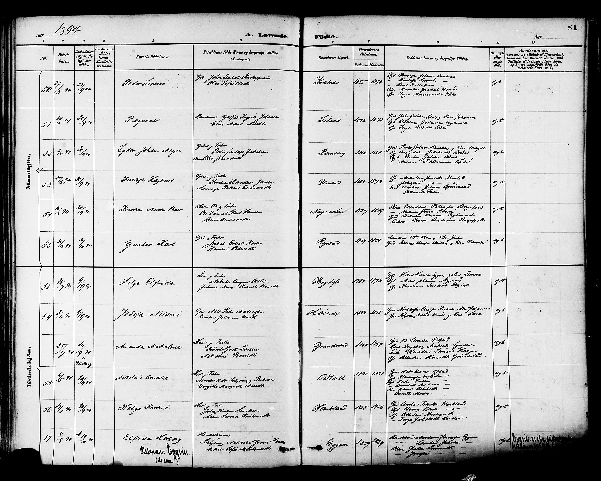 Ministerialprotokoller, klokkerbøker og fødselsregistre - Nordland, AV/SAT-A-1459/880/L1133: Parish register (official) no. 880A07, 1888-1898, p. 81