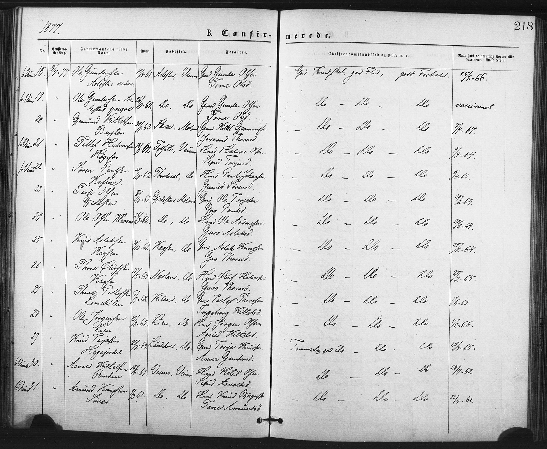 Fyresdal kirkebøker, AV/SAKO-A-263/F/Fa/L0006: Parish register (official) no. I 6, 1872-1886, p. 218