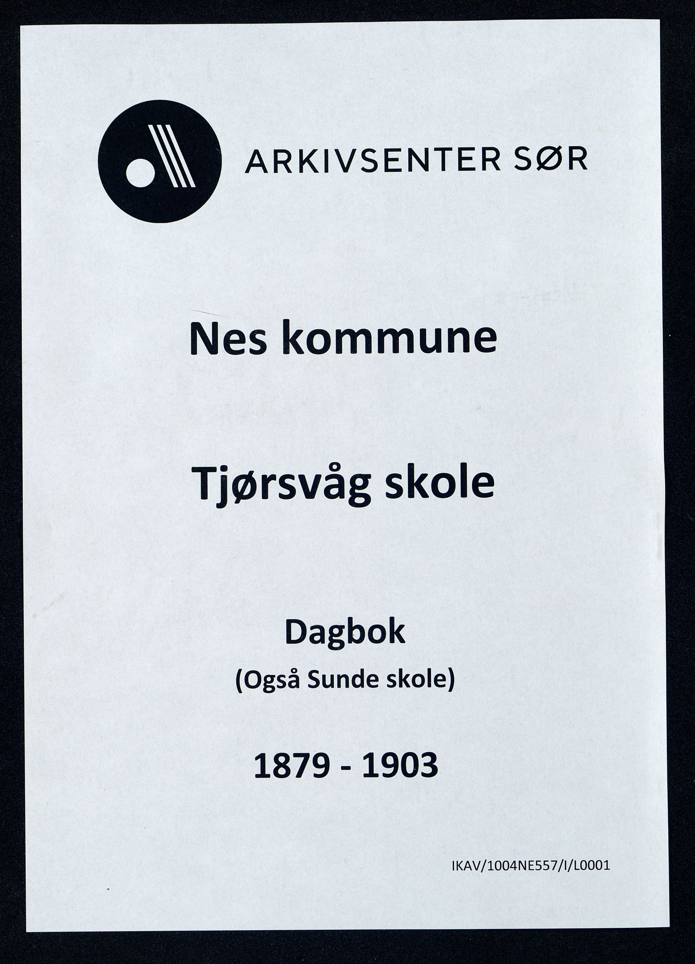 Nes kommune - Tjørsvåg Skole, ARKSOR/1004NE557/I/L0001: Dagbok, 1879-1903